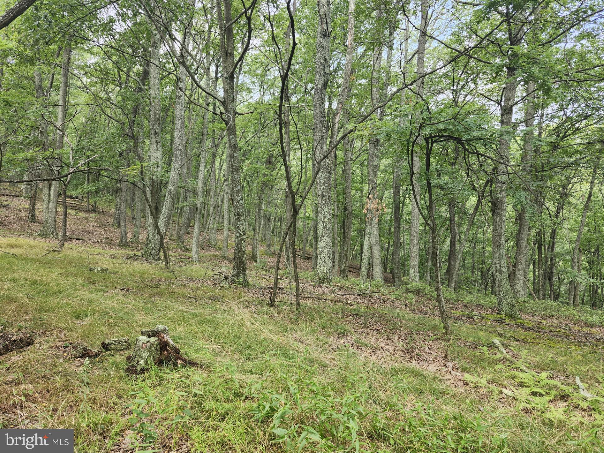 NONE UNRESTRICTED - Residential