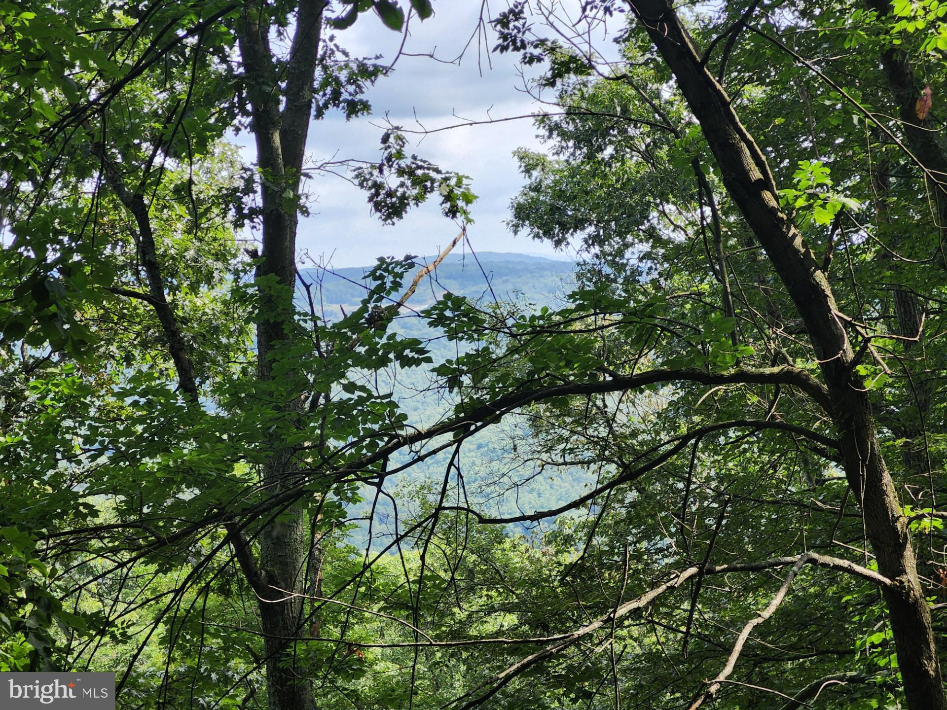 NONE UNRESTRICTED - Residential