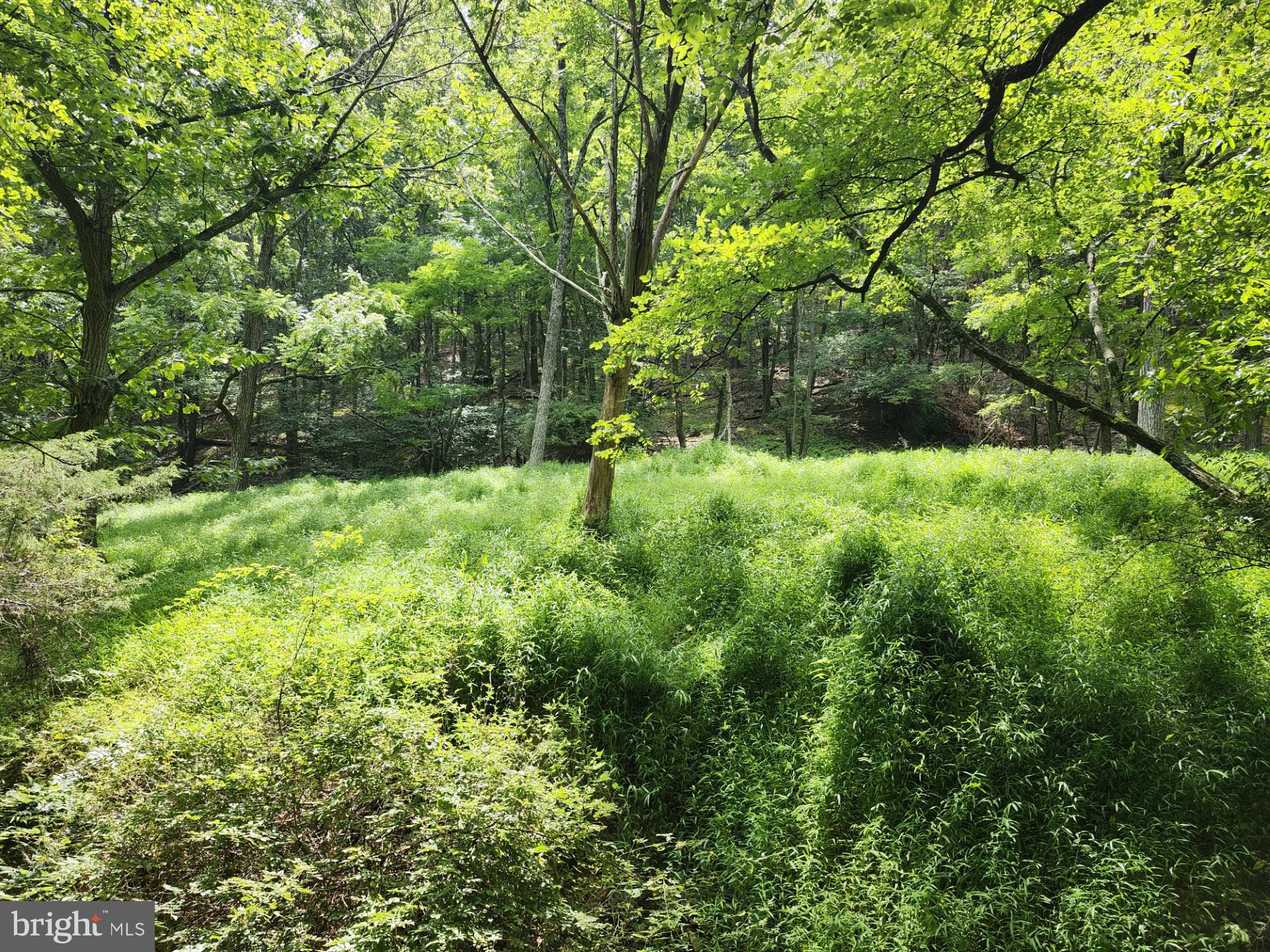 NONE UNRESTRICTED - Residential