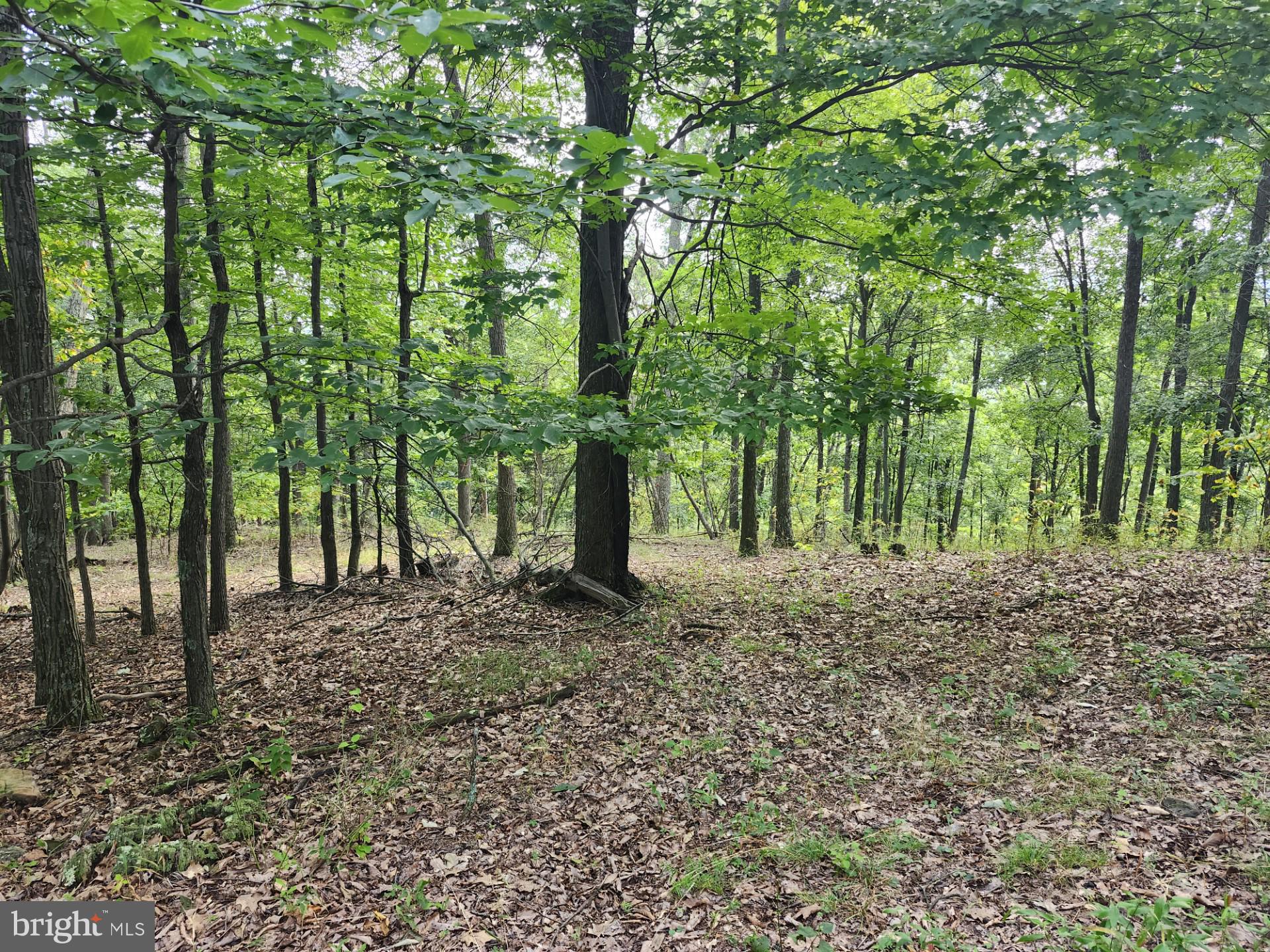 NONE UNRESTRICTED - Residential