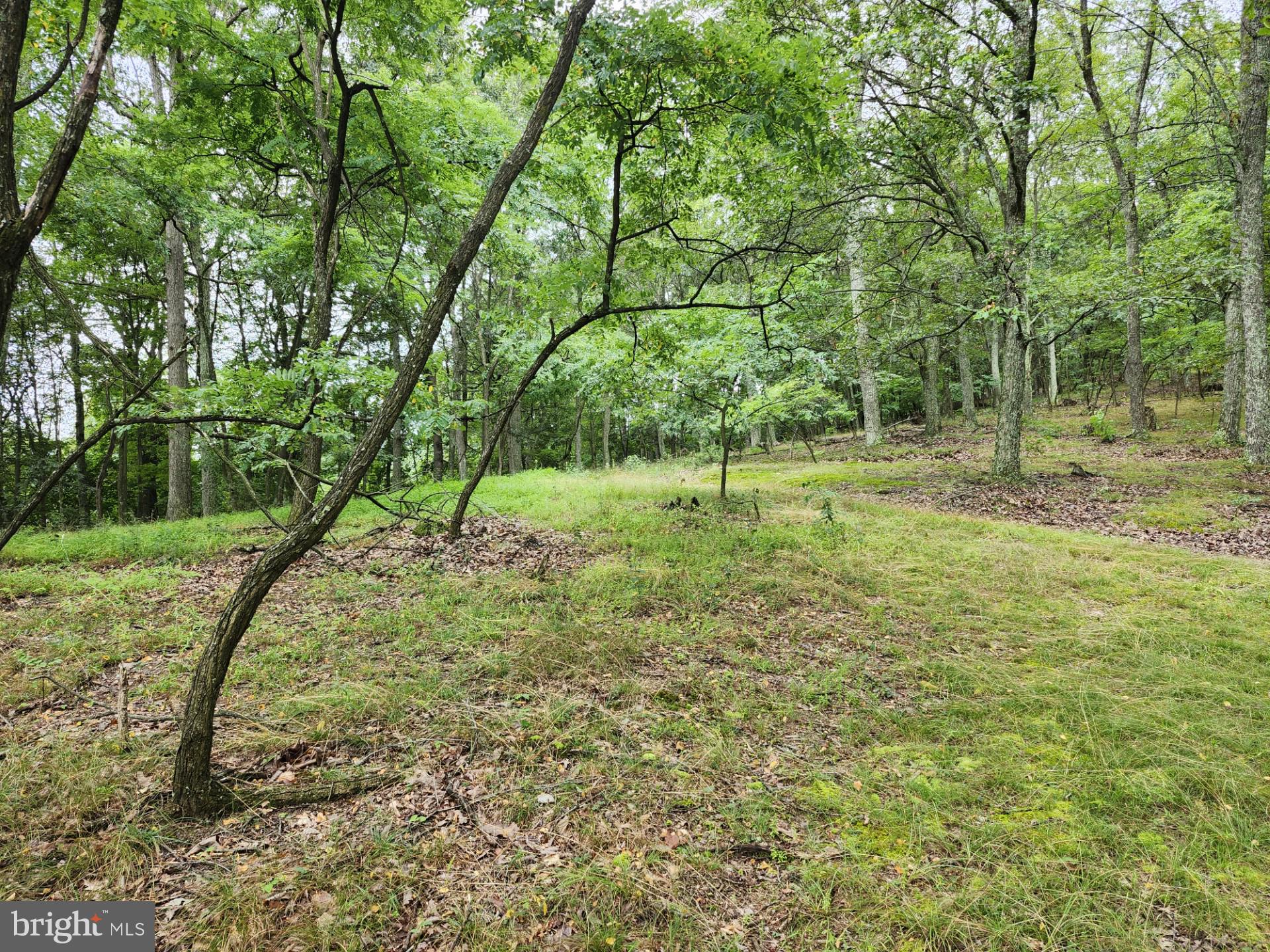 NONE UNRESTRICTED - Residential