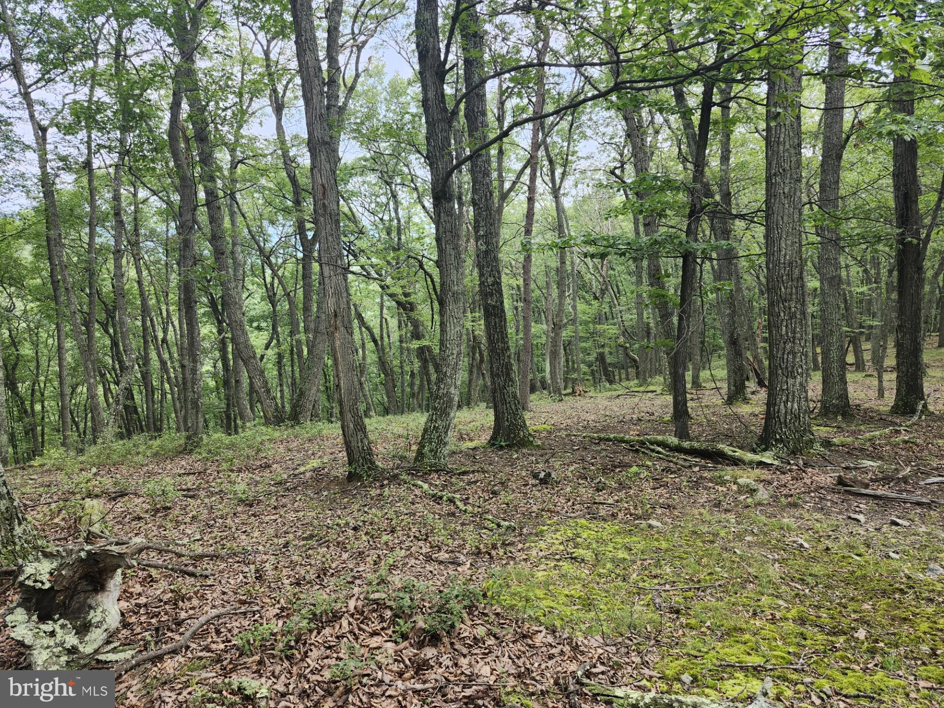 NONE UNRESTRICTED - Residential