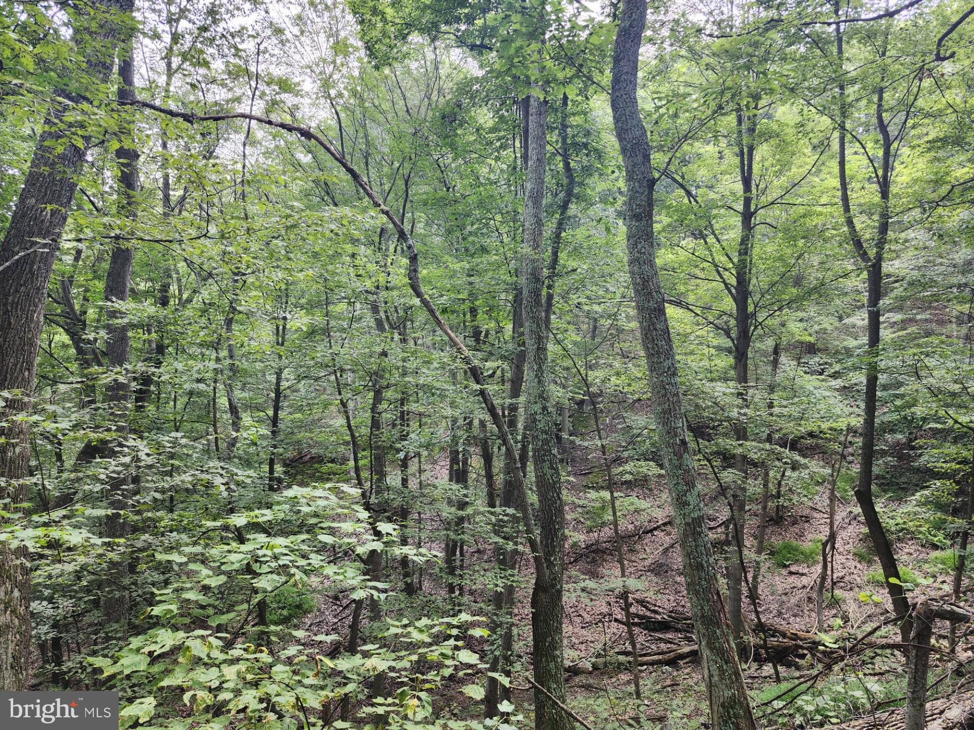 NONE UNRESTRICTED - Residential