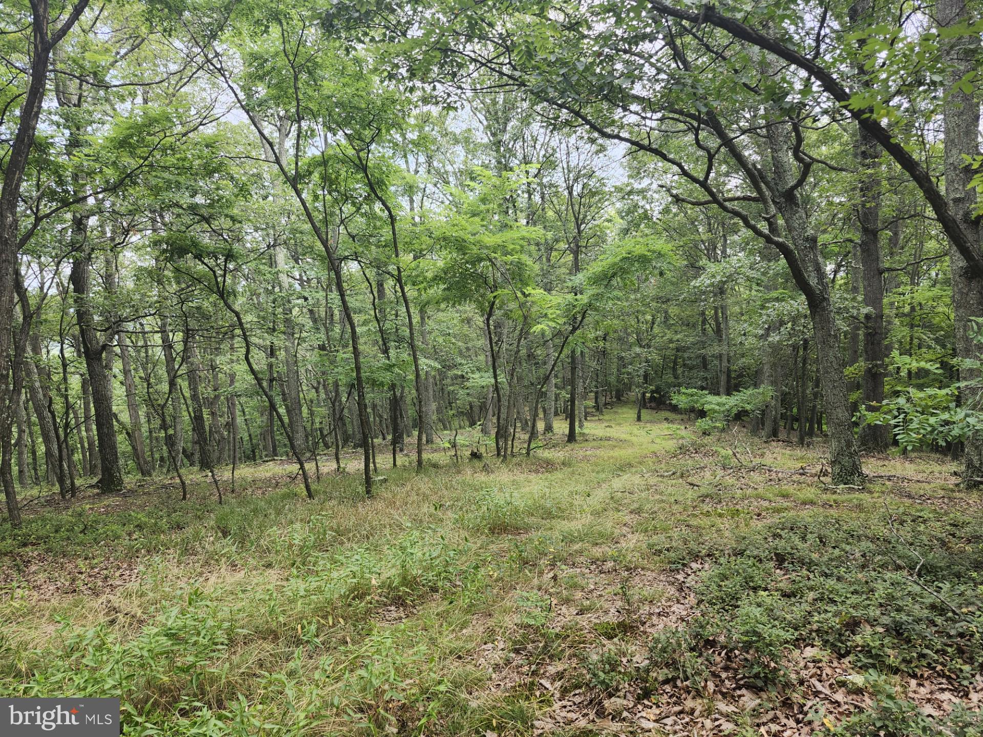 NONE UNRESTRICTED - Residential