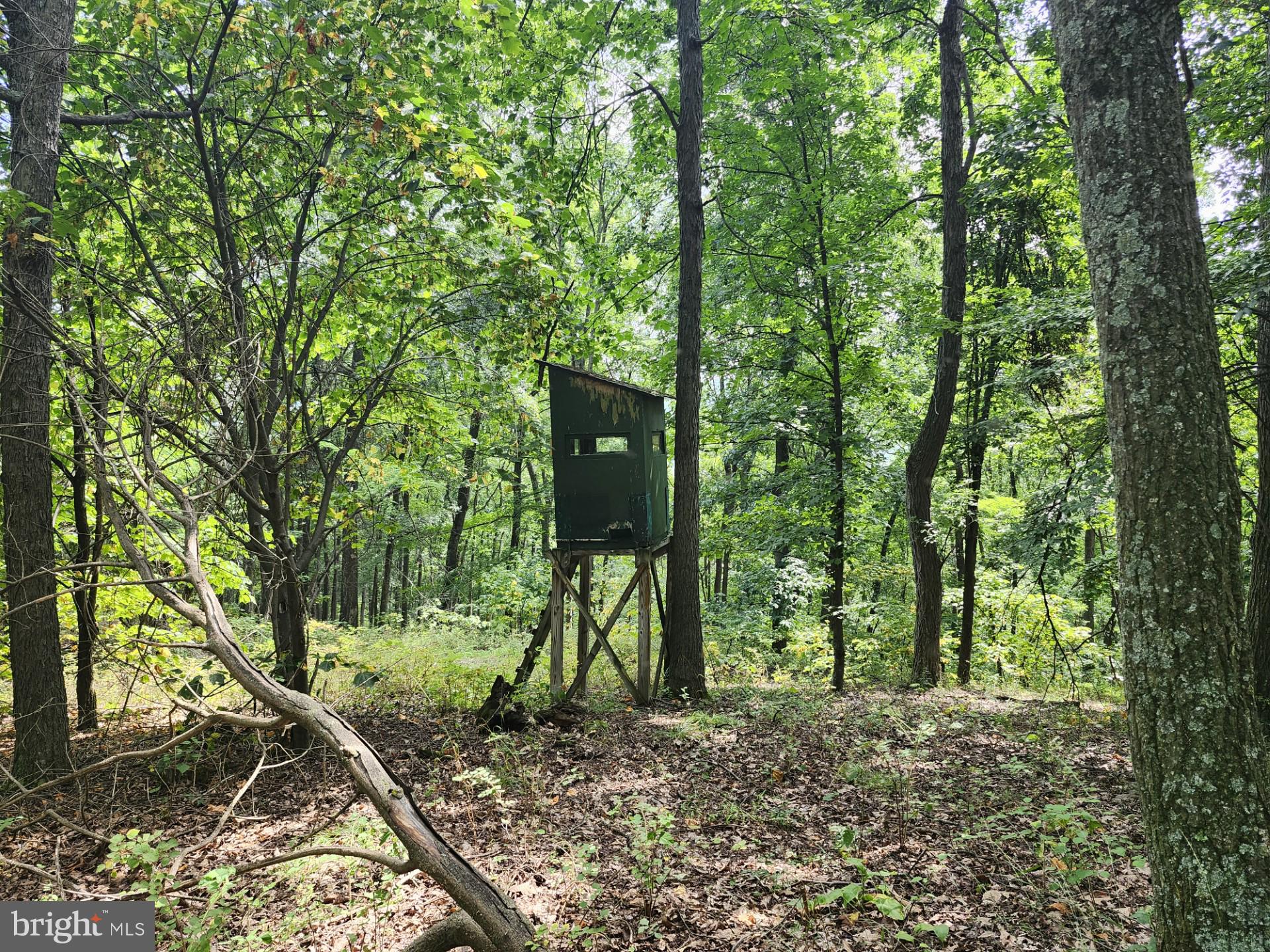 NONE UNRESTRICTED - Residential