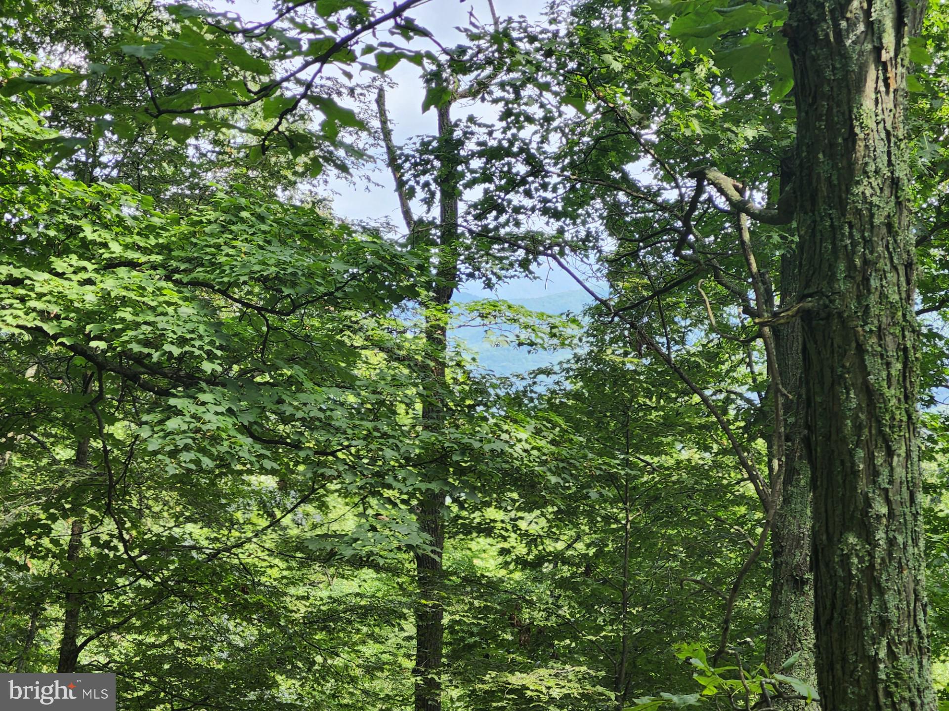 NONE UNRESTRICTED - Residential