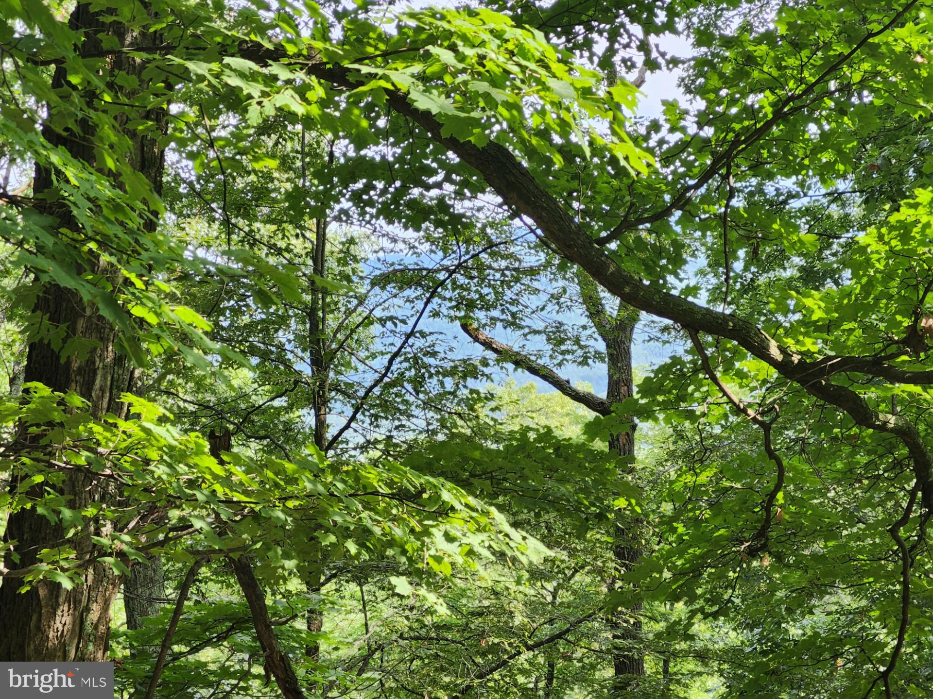 NONE UNRESTRICTED - Residential