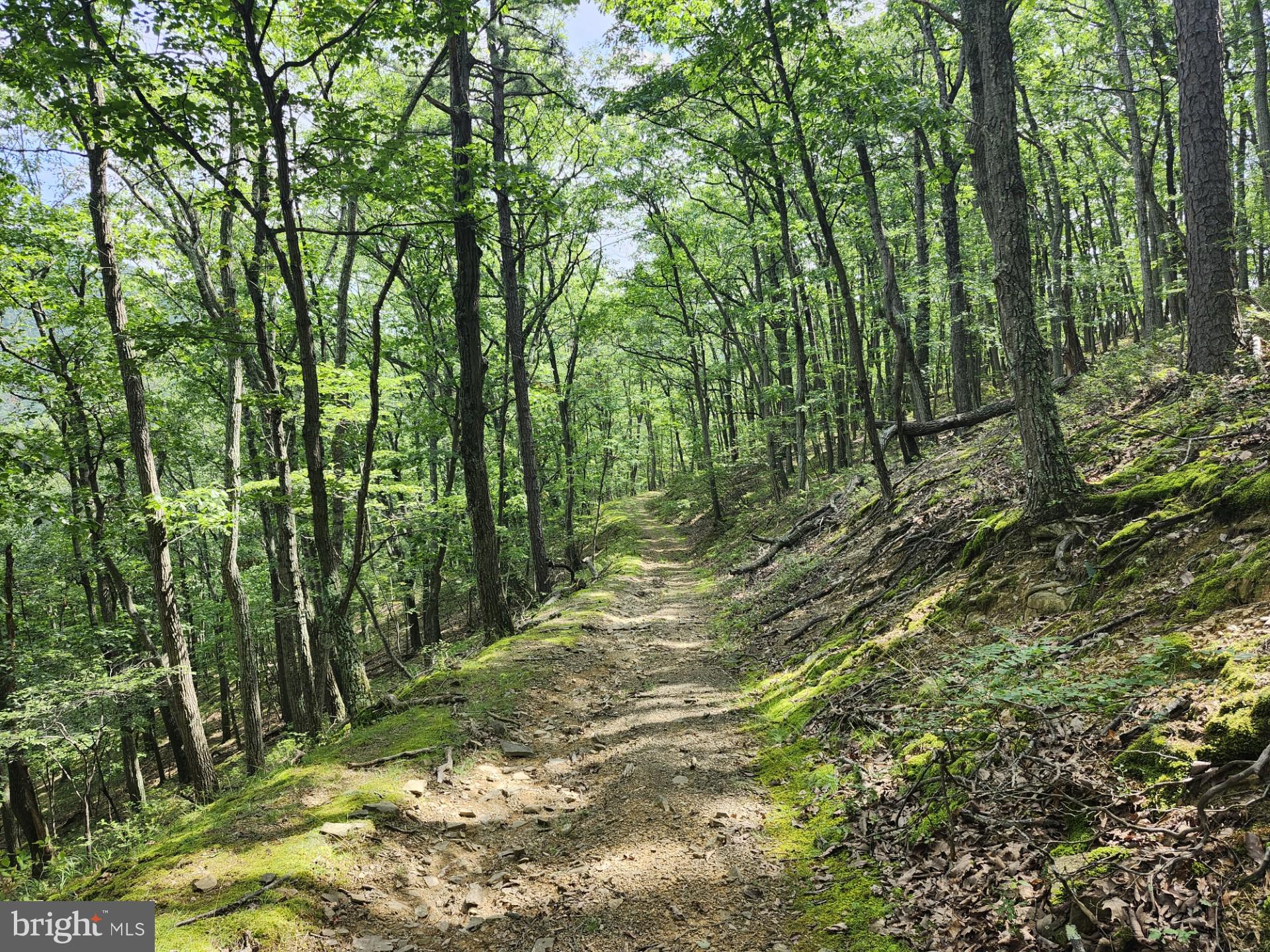 NONE UNRESTRICTED - Residential