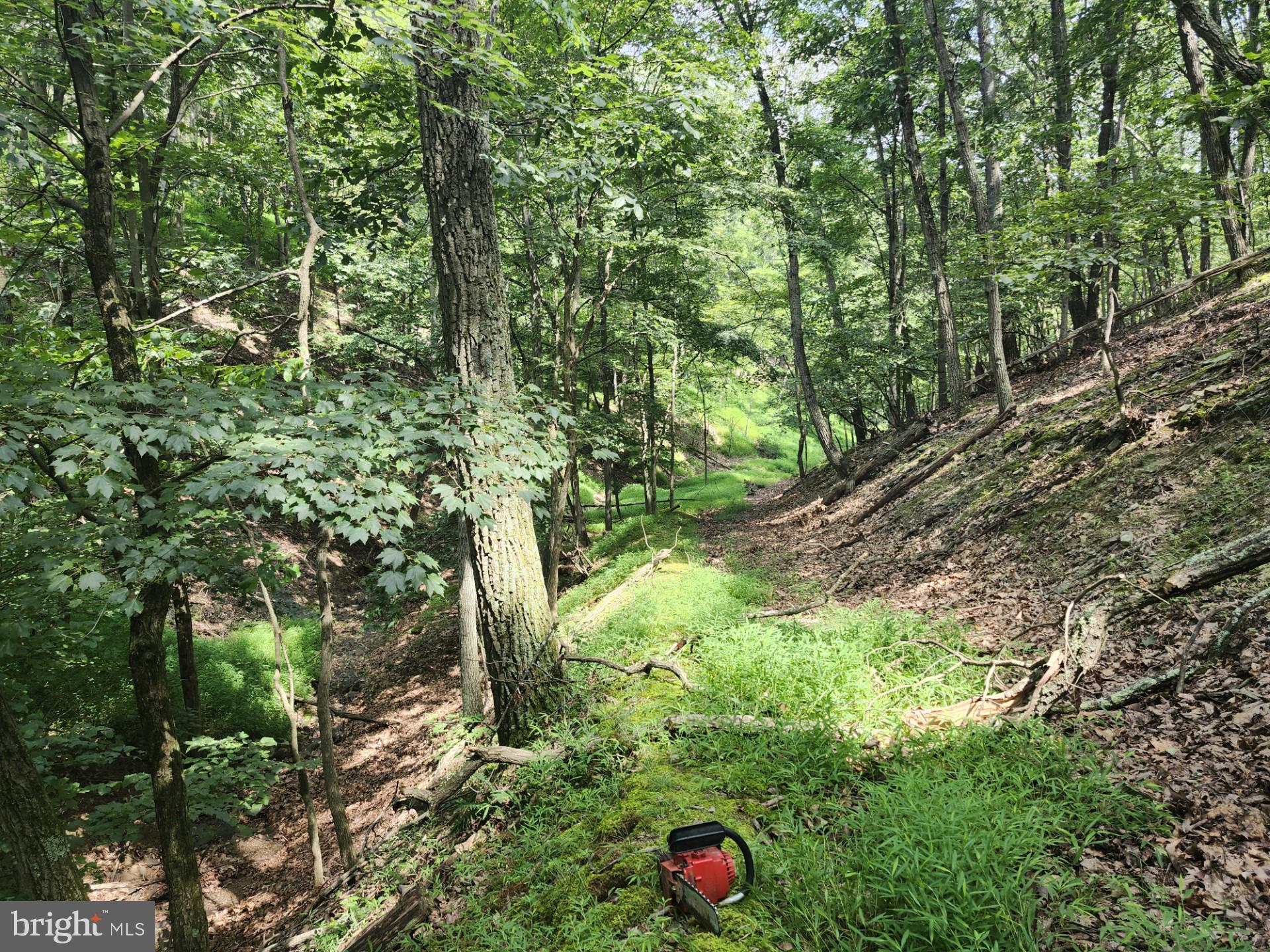 NONE UNRESTRICTED - Residential