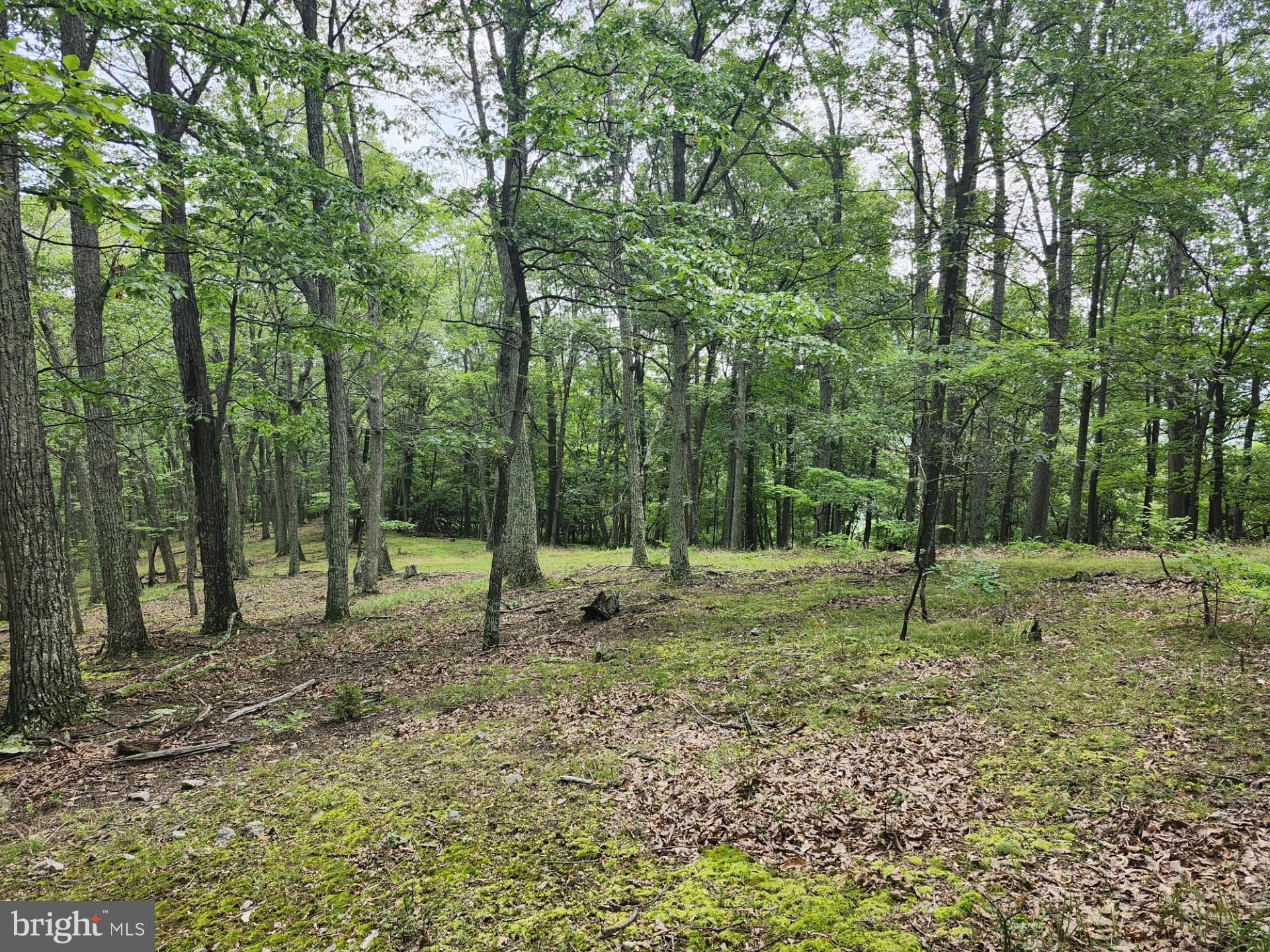 NONE UNRESTRICTED - Residential