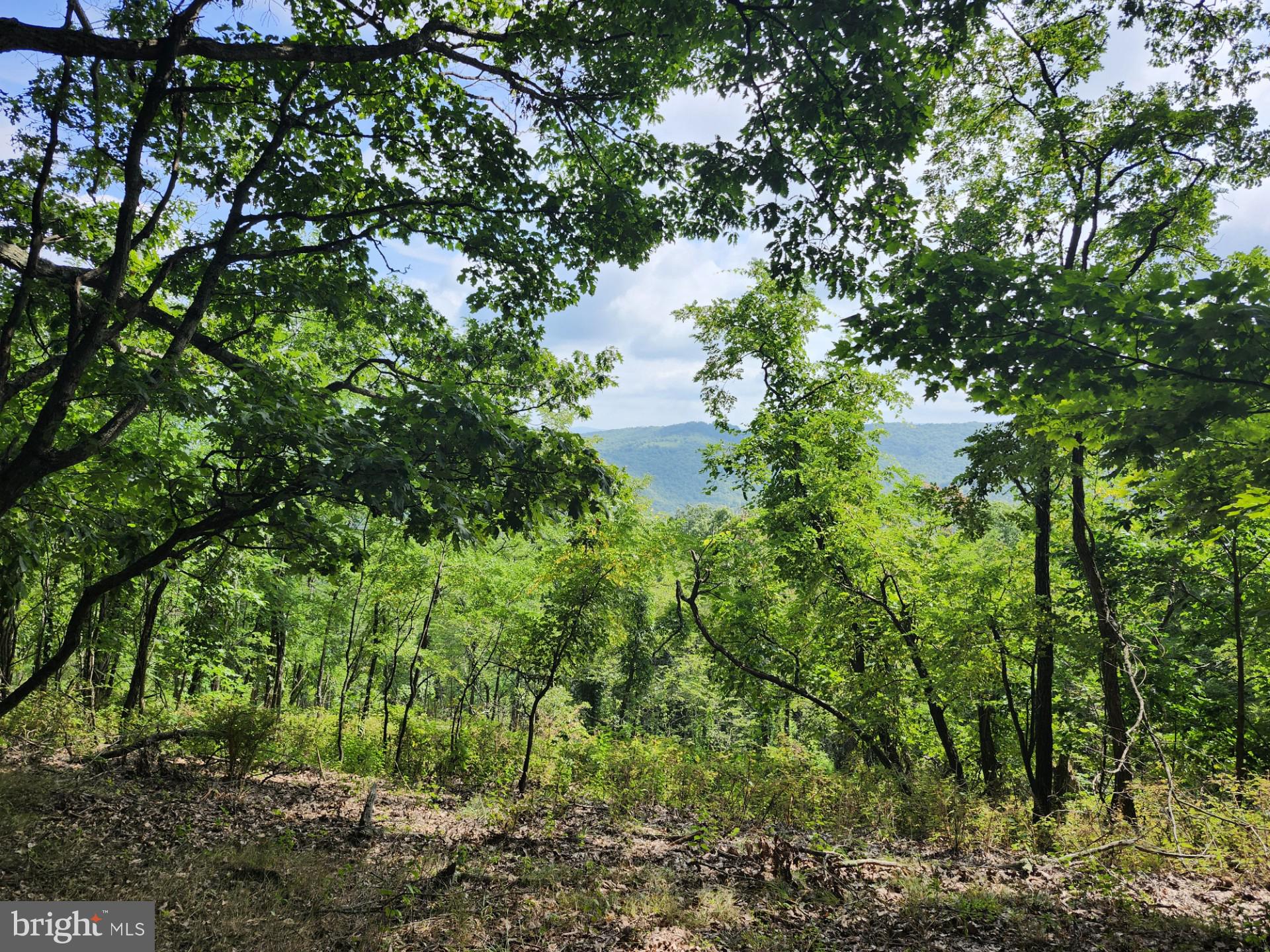 NONE UNRESTRICTED - Residential