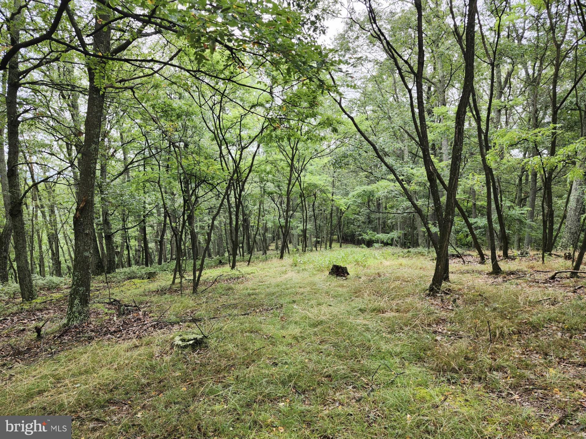 NONE UNRESTRICTED - Residential