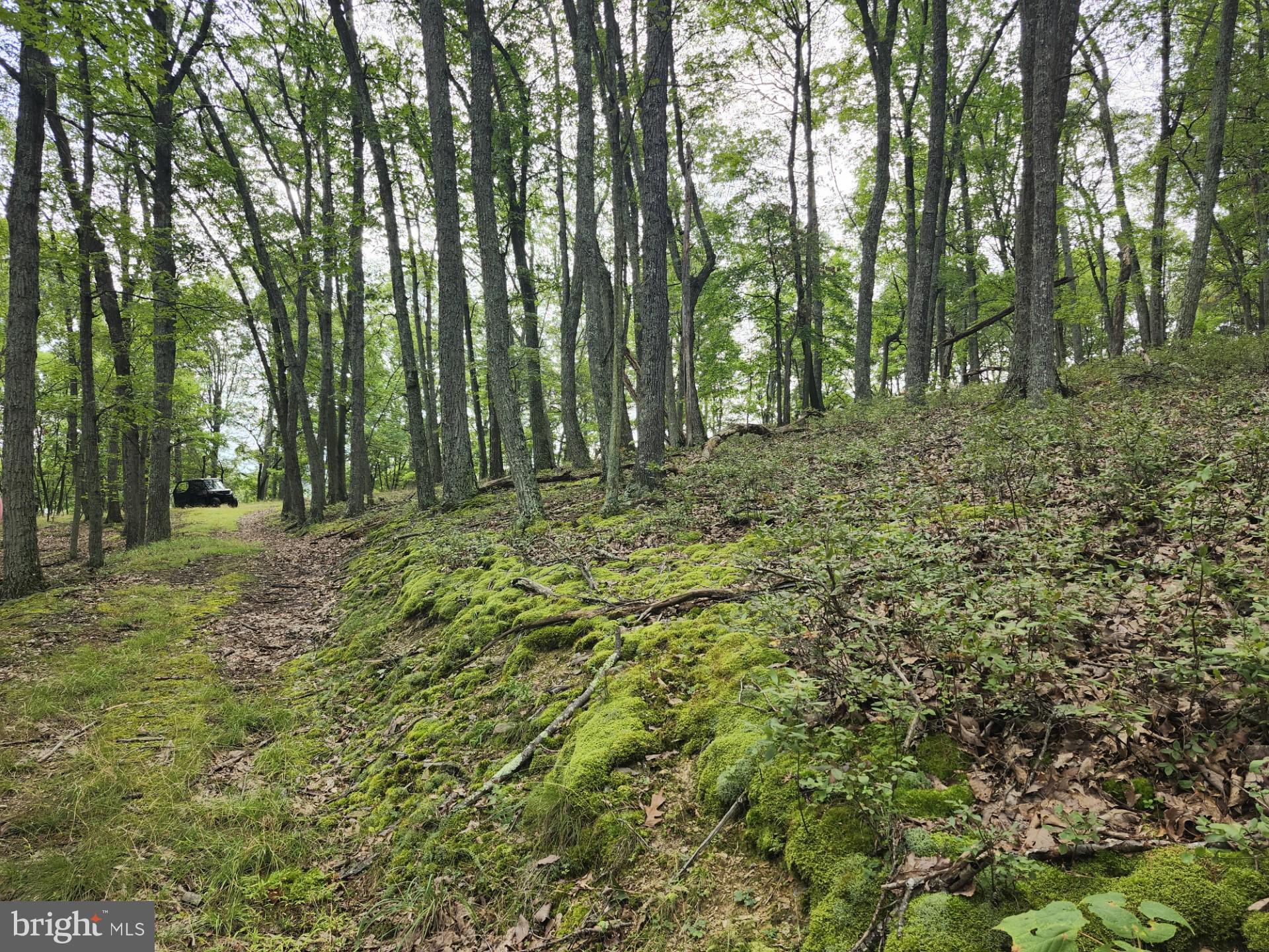 NONE UNRESTRICTED - Residential