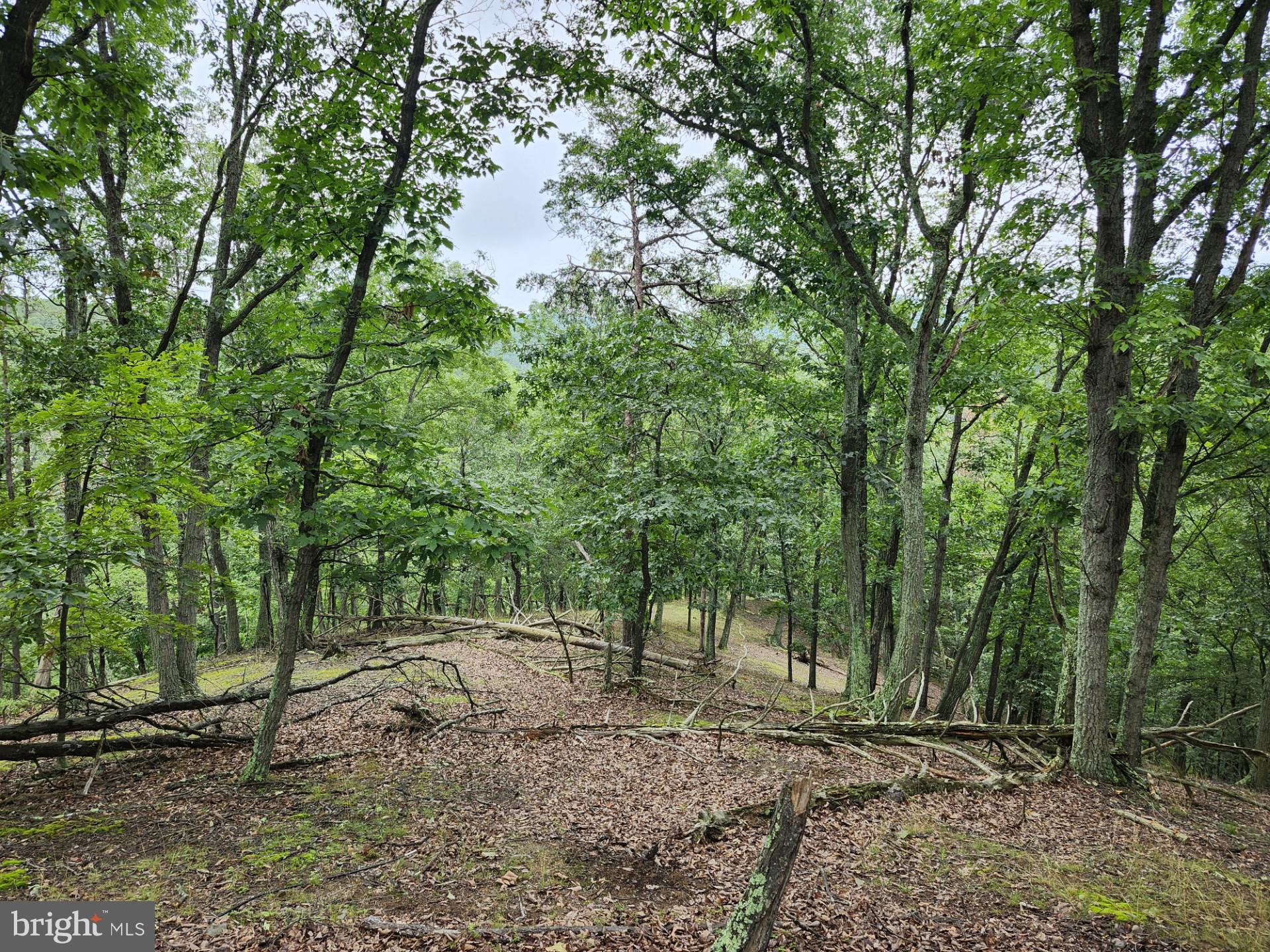 NONE UNRESTRICTED - Residential