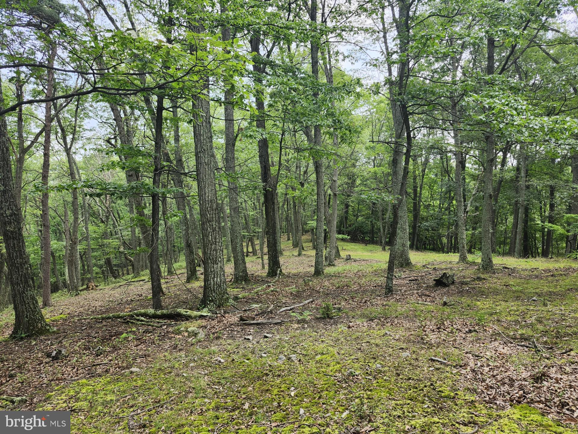 NONE UNRESTRICTED - Residential