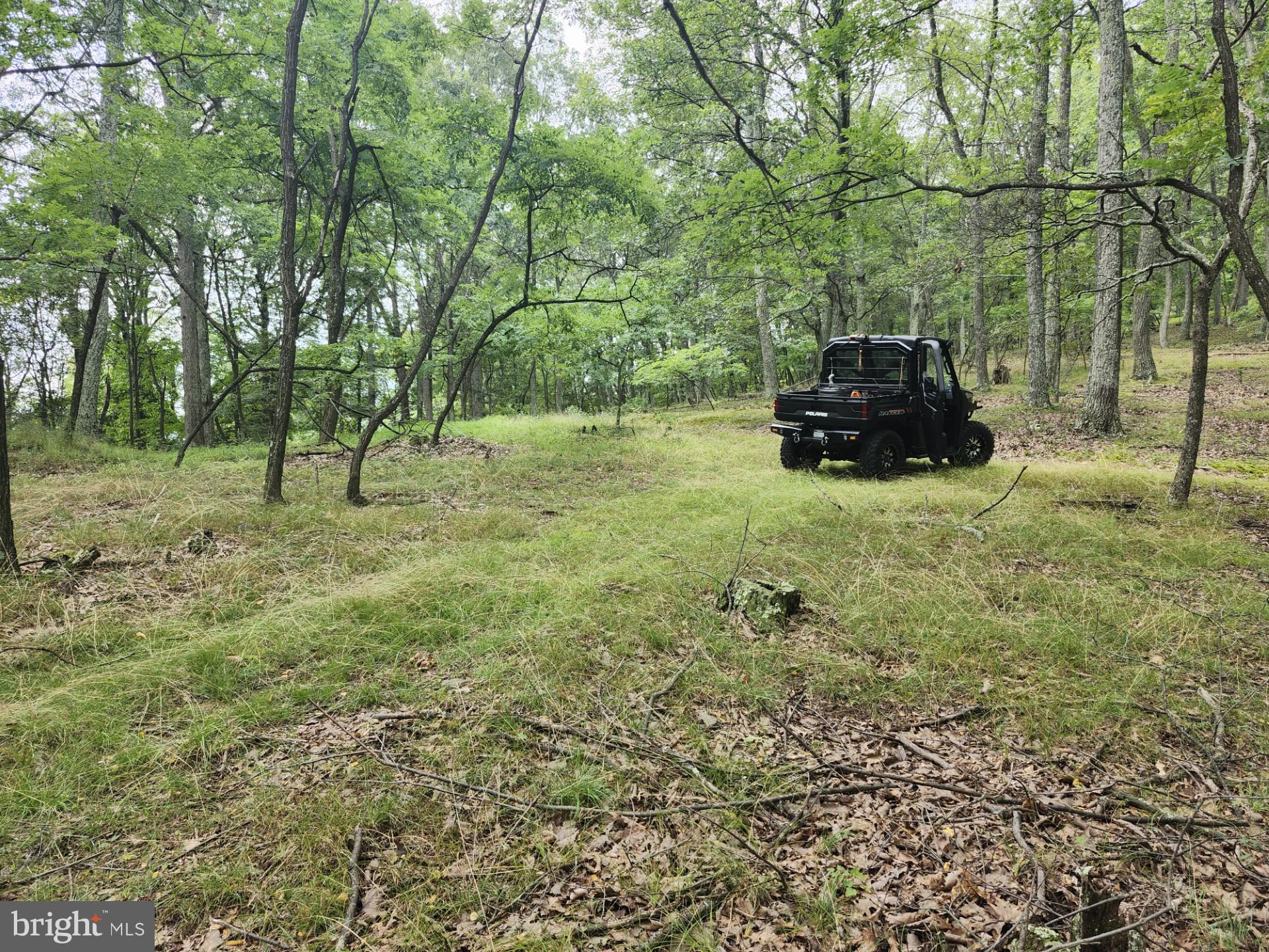 NONE UNRESTRICTED - Residential