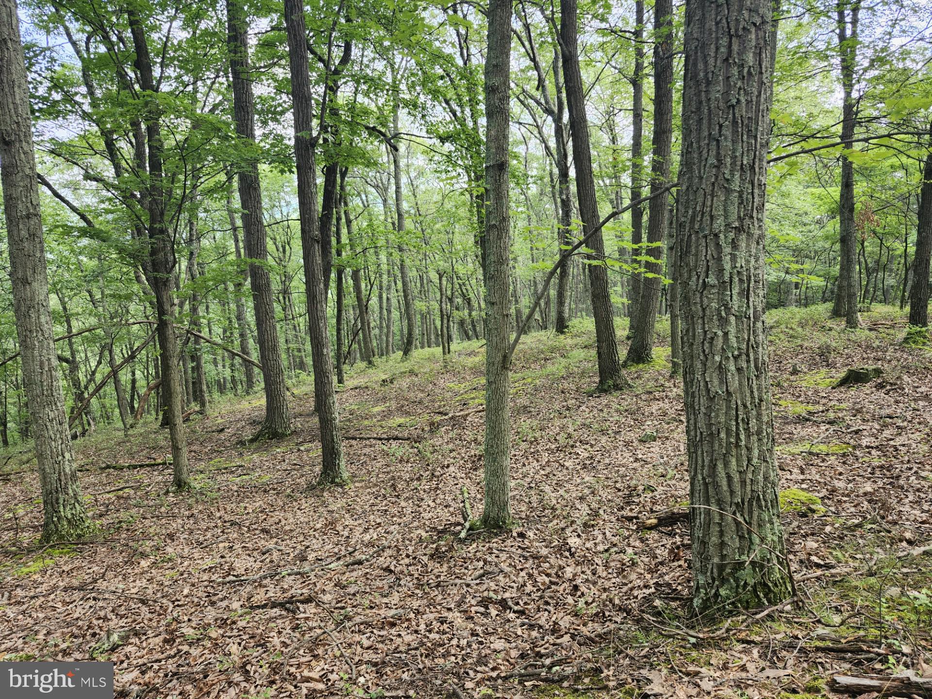 NONE UNRESTRICTED - Residential