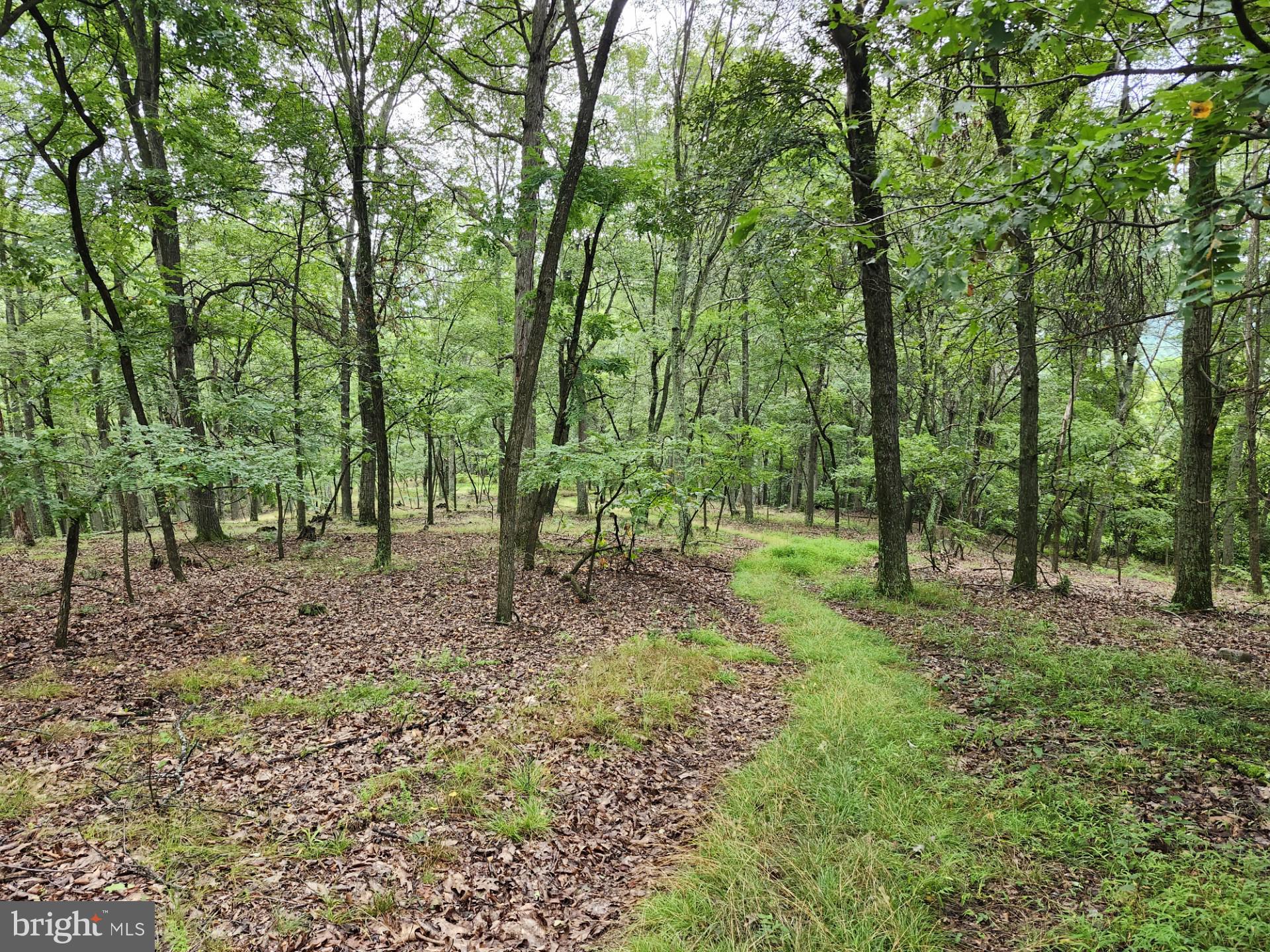 NONE UNRESTRICTED - Residential