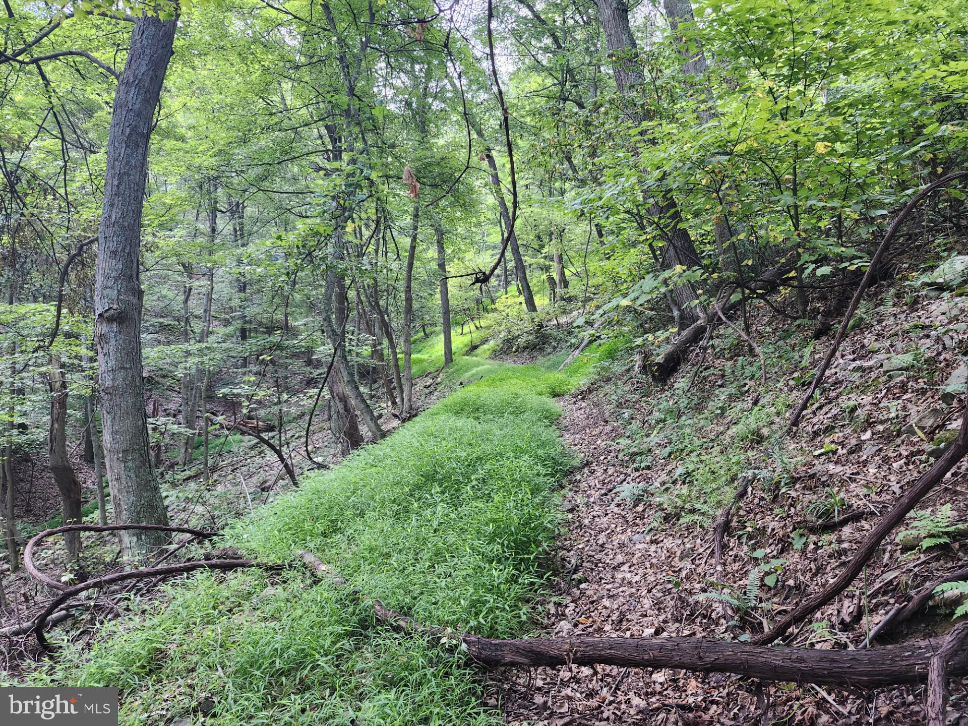 NONE UNRESTRICTED - Residential