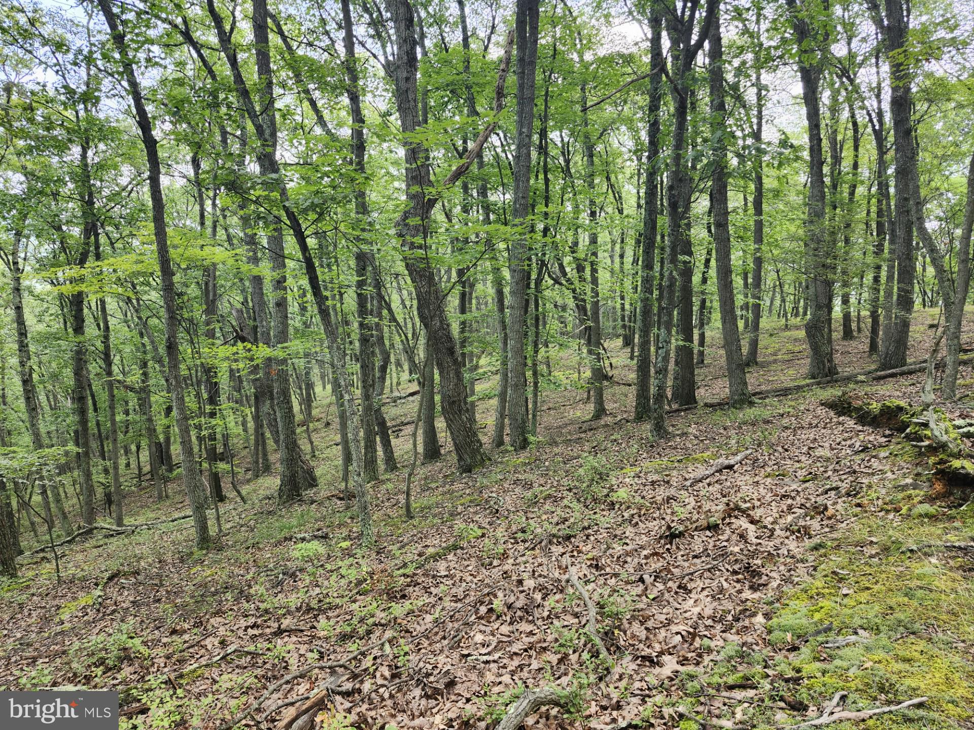 NONE UNRESTRICTED - Residential