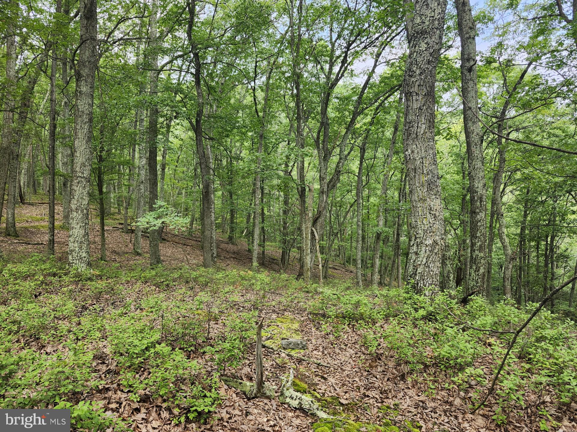 NONE UNRESTRICTED - Residential