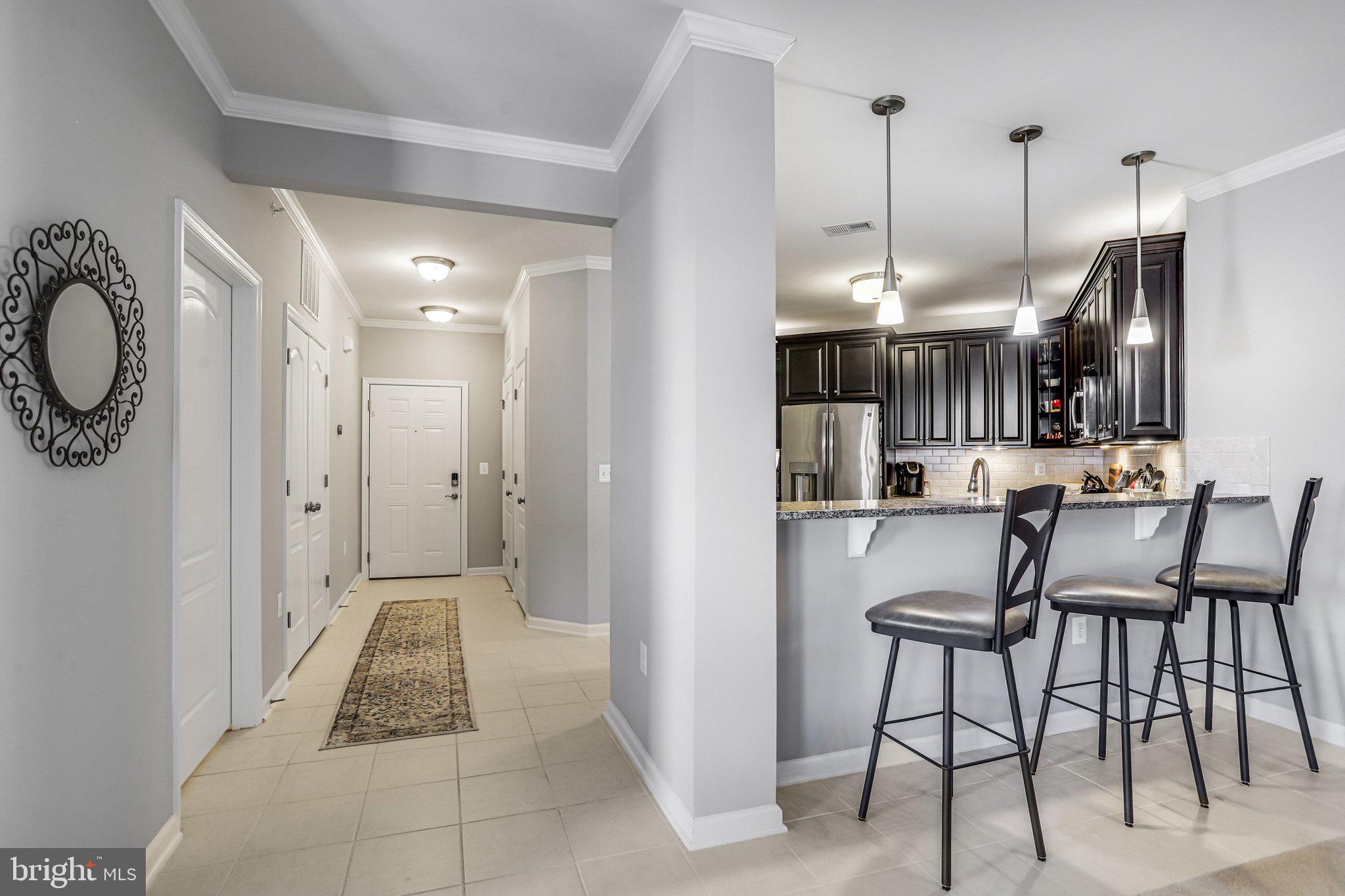 24661 WOOLLY MAMMOTH TERRACE 401