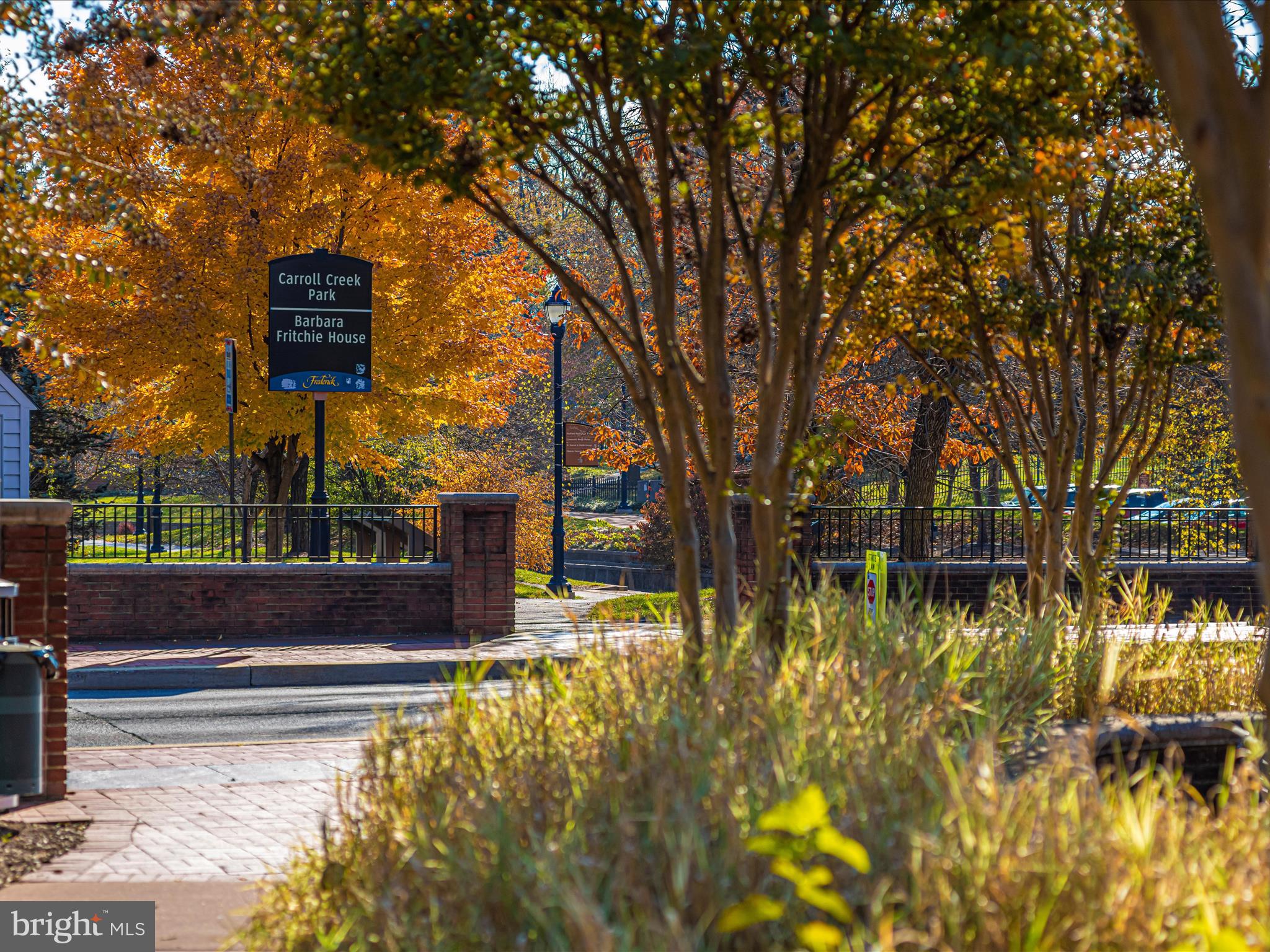 DOWNTOWN FREDERICK - Residential