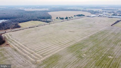 PARCEL 1 - WILSON FARM RD BRIDGEVILLE DE 19933