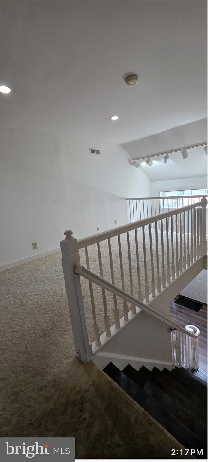 TALL TREES - Residential