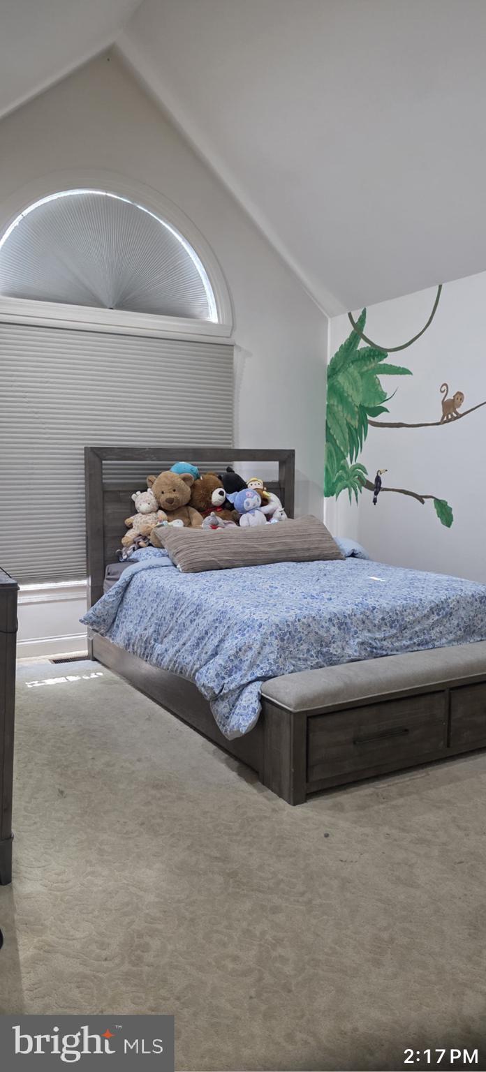 TALL TREES - Residential