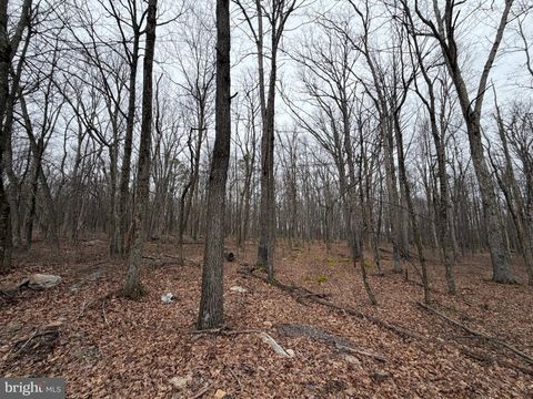 518 HAYSTACK DRIVE ZION GROVE PA 17985