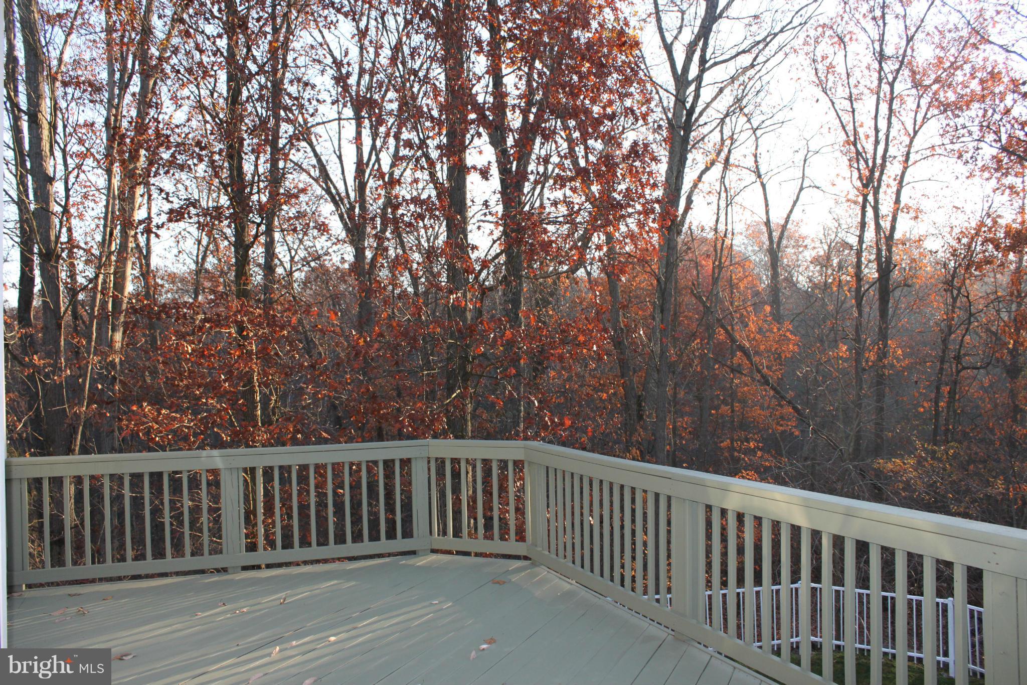 OWINGS MILLS NEWTOWN - Residential