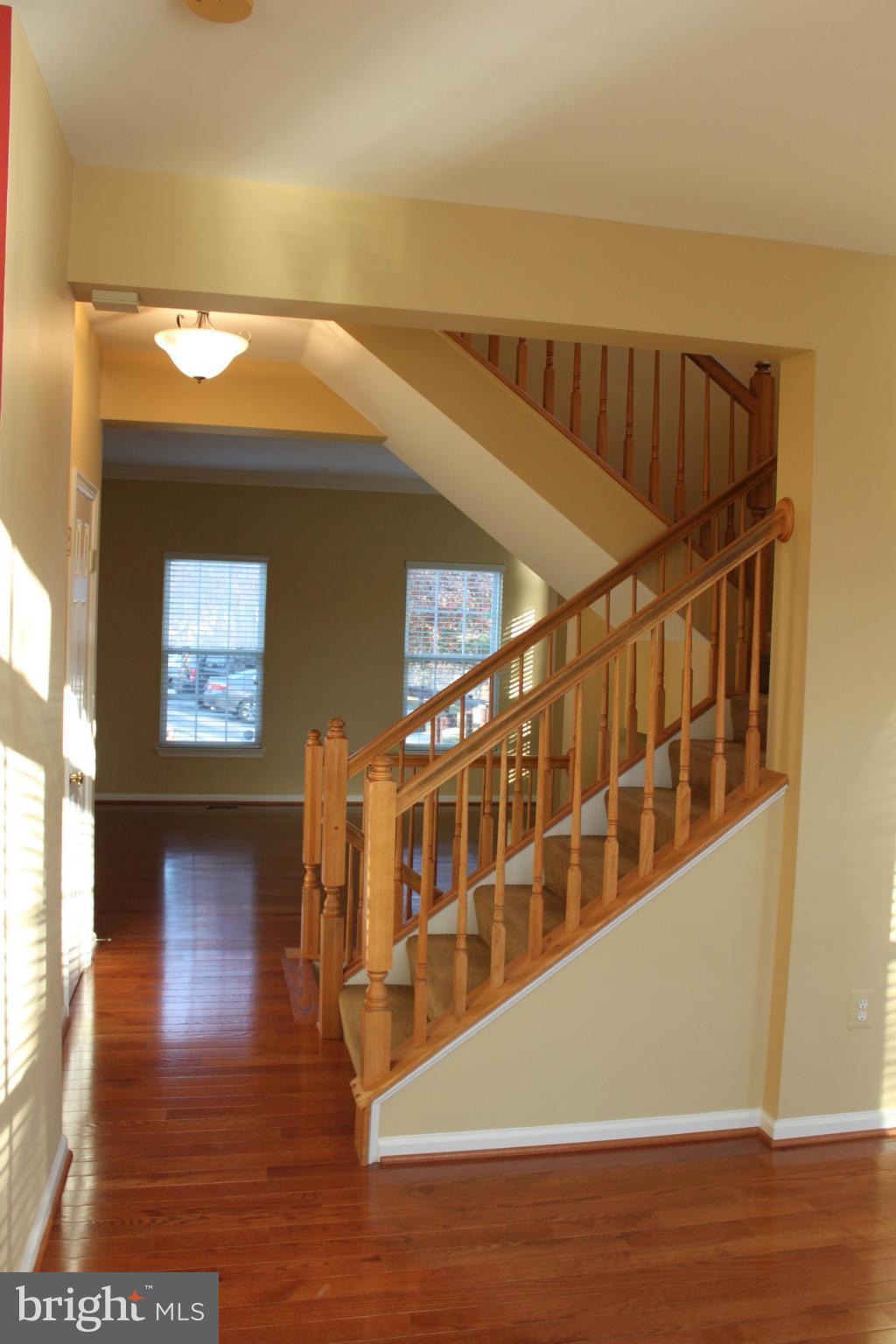 OWINGS MILLS NEWTOWN - Residential