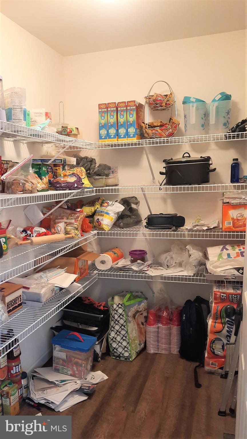 THE VIEWS AT BRIDGEWATER - Residential