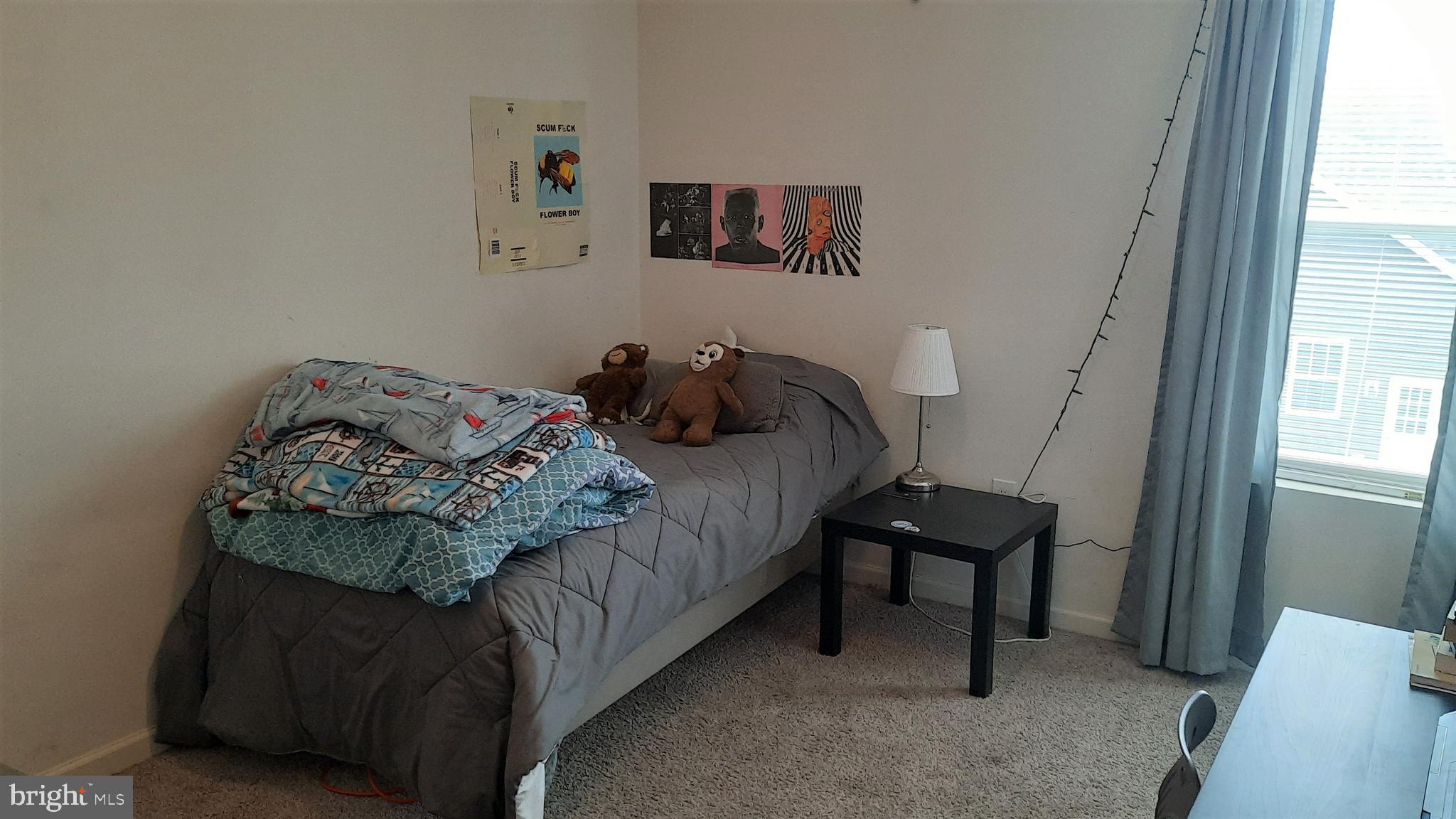 THE VIEWS AT BRIDGEWATER - Residential