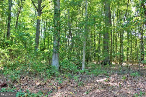 Vacant Land For Sale - Long Leaf Lane<br/> LEONARDTOWN, MD 20650