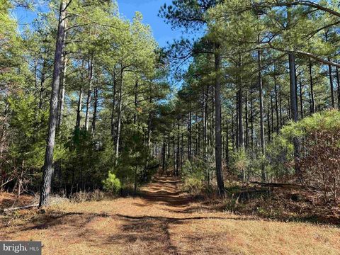 Vacant Land For Sale - Off Of Diana Mill Road (tract: Tanager Et2 2023<br/> Buckingham County, ARVONIA, VA 23004