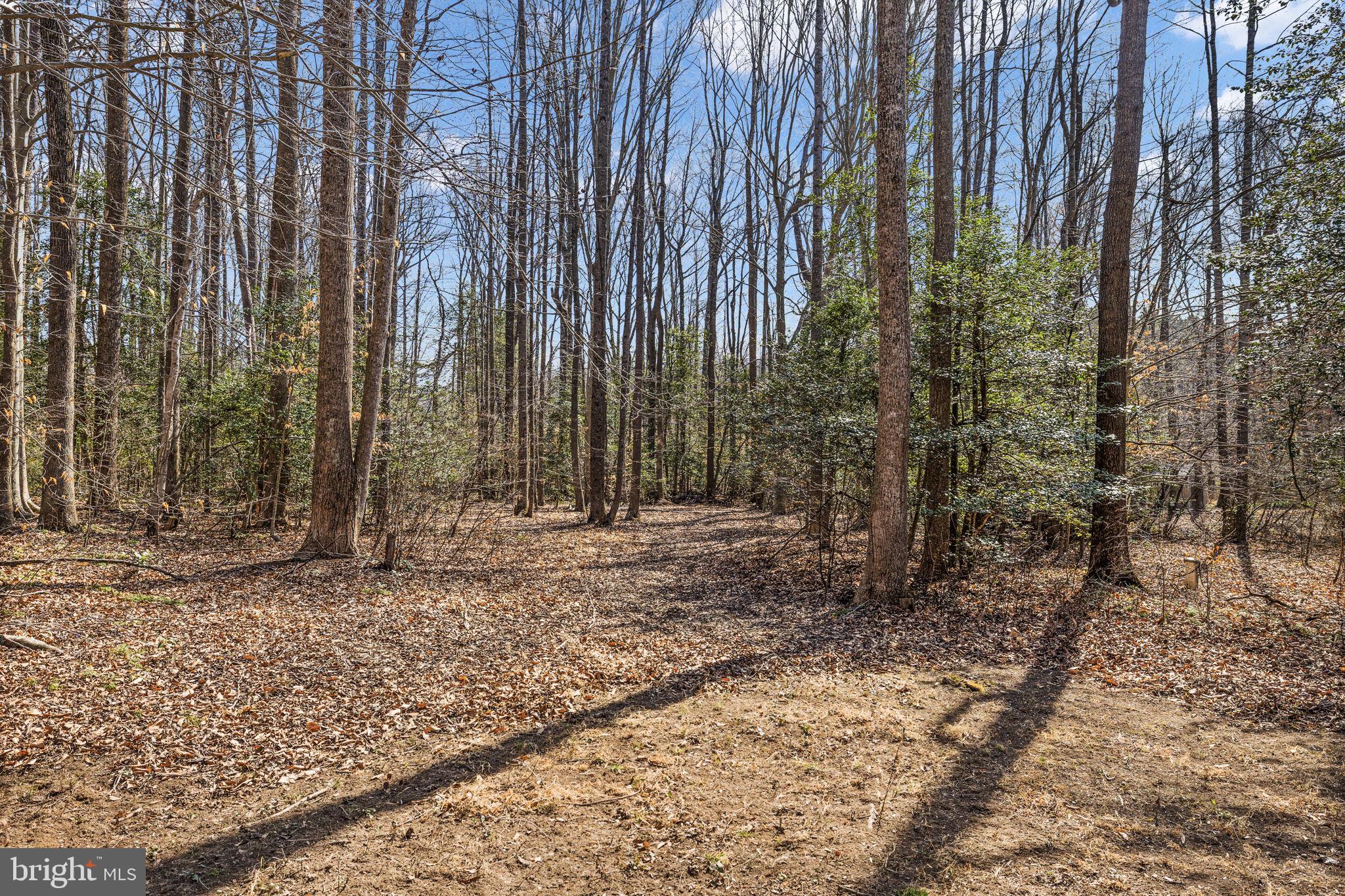 BROADUS FAMILY SUBDIVISION - Residential