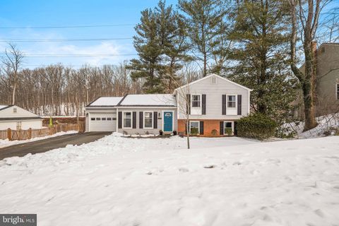 9514 CENTER STREET VIENNA VA 22181