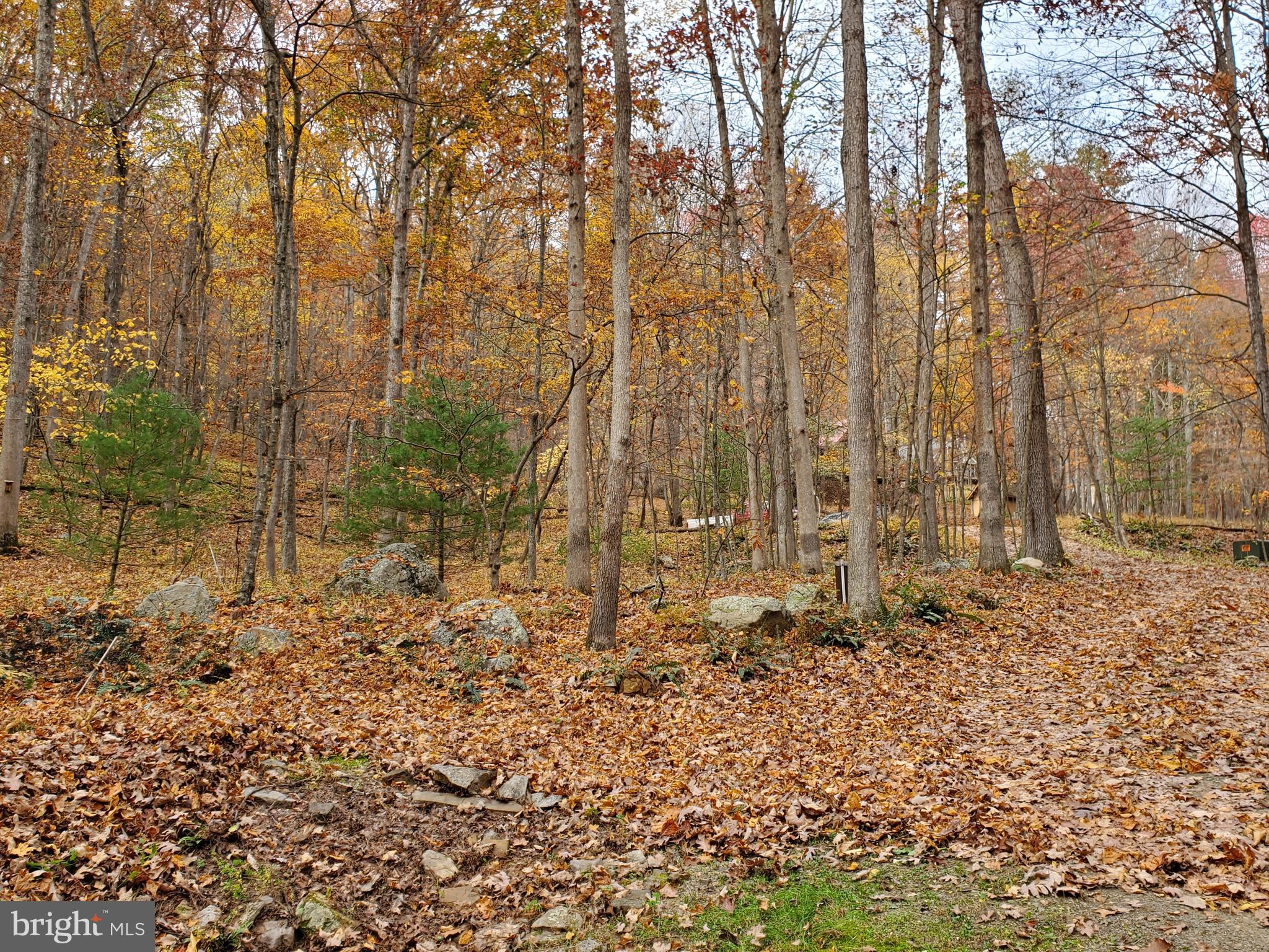 TROUT POND - Residential