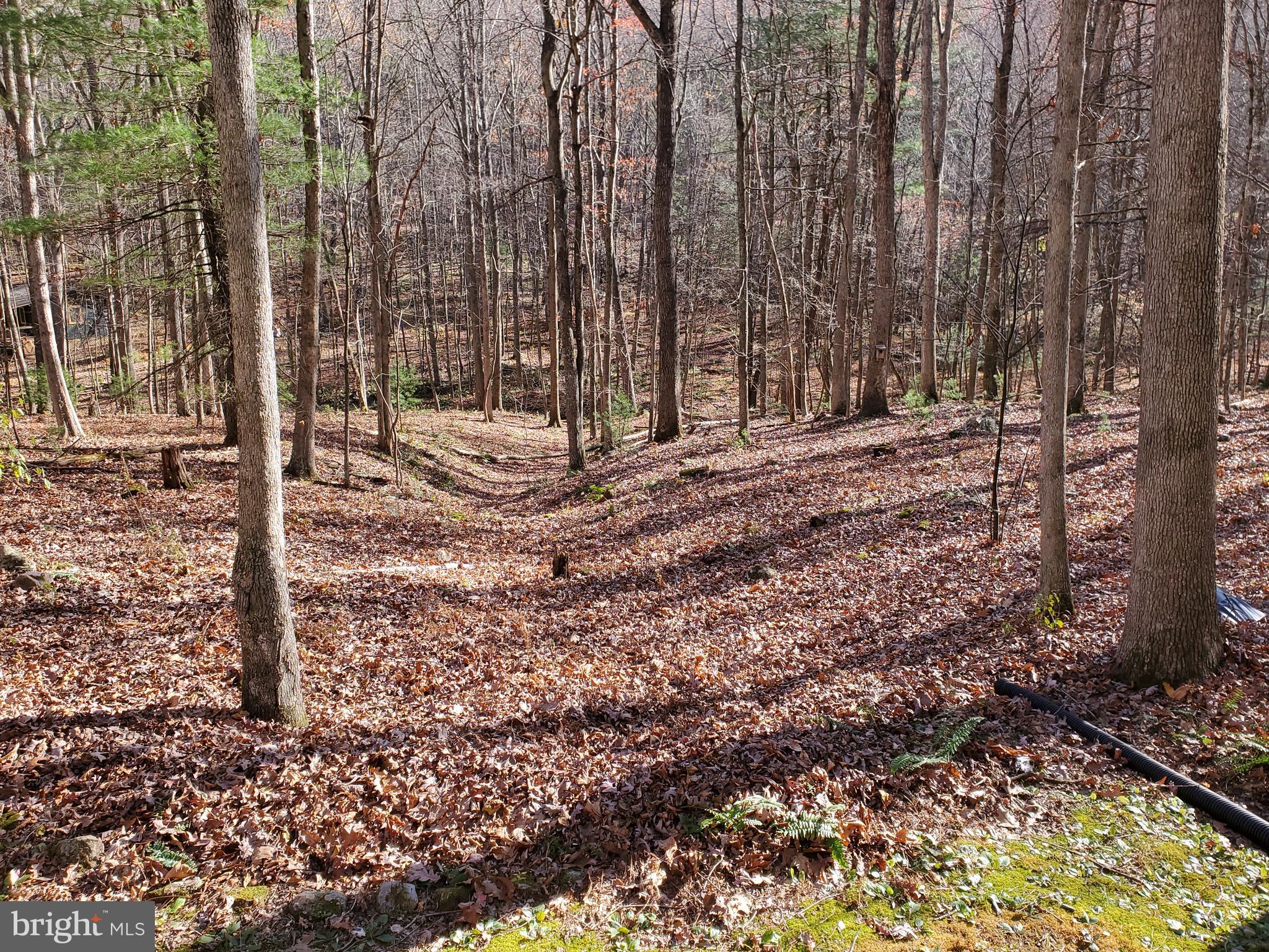 TROUT POND - Residential