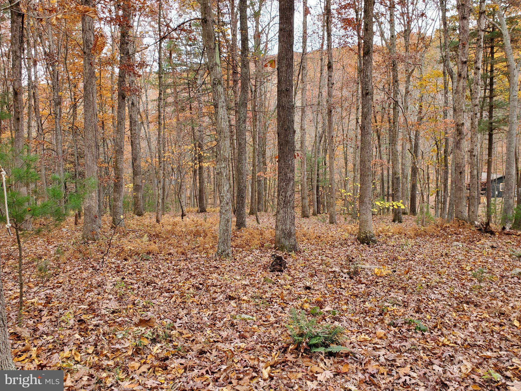 TROUT POND - Residential