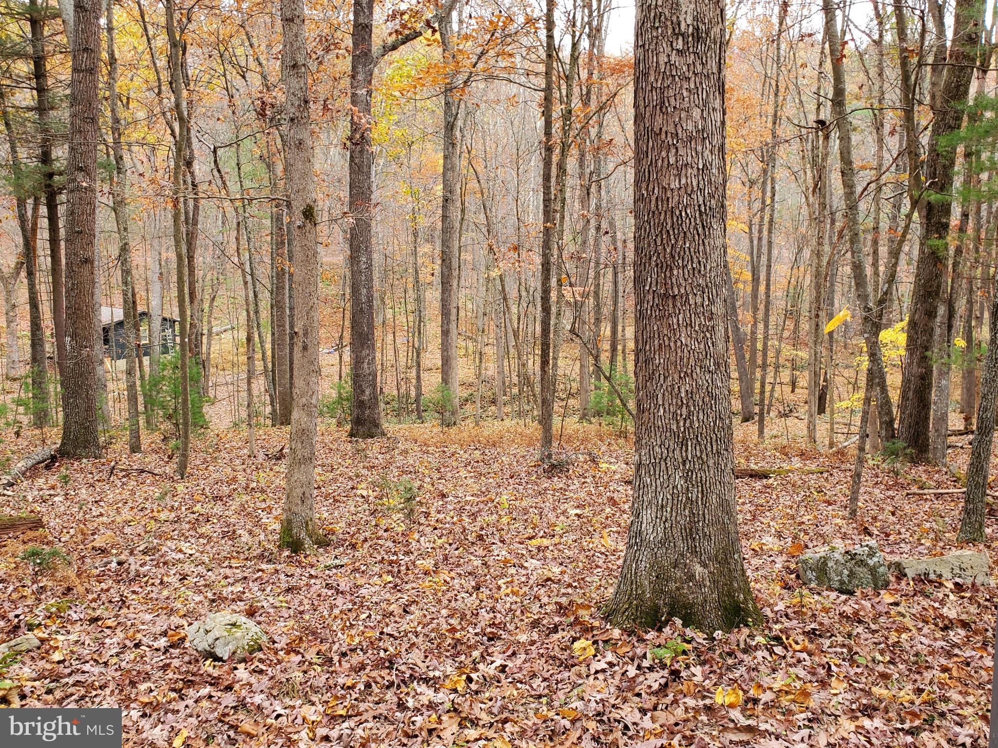 TROUT POND - Residential