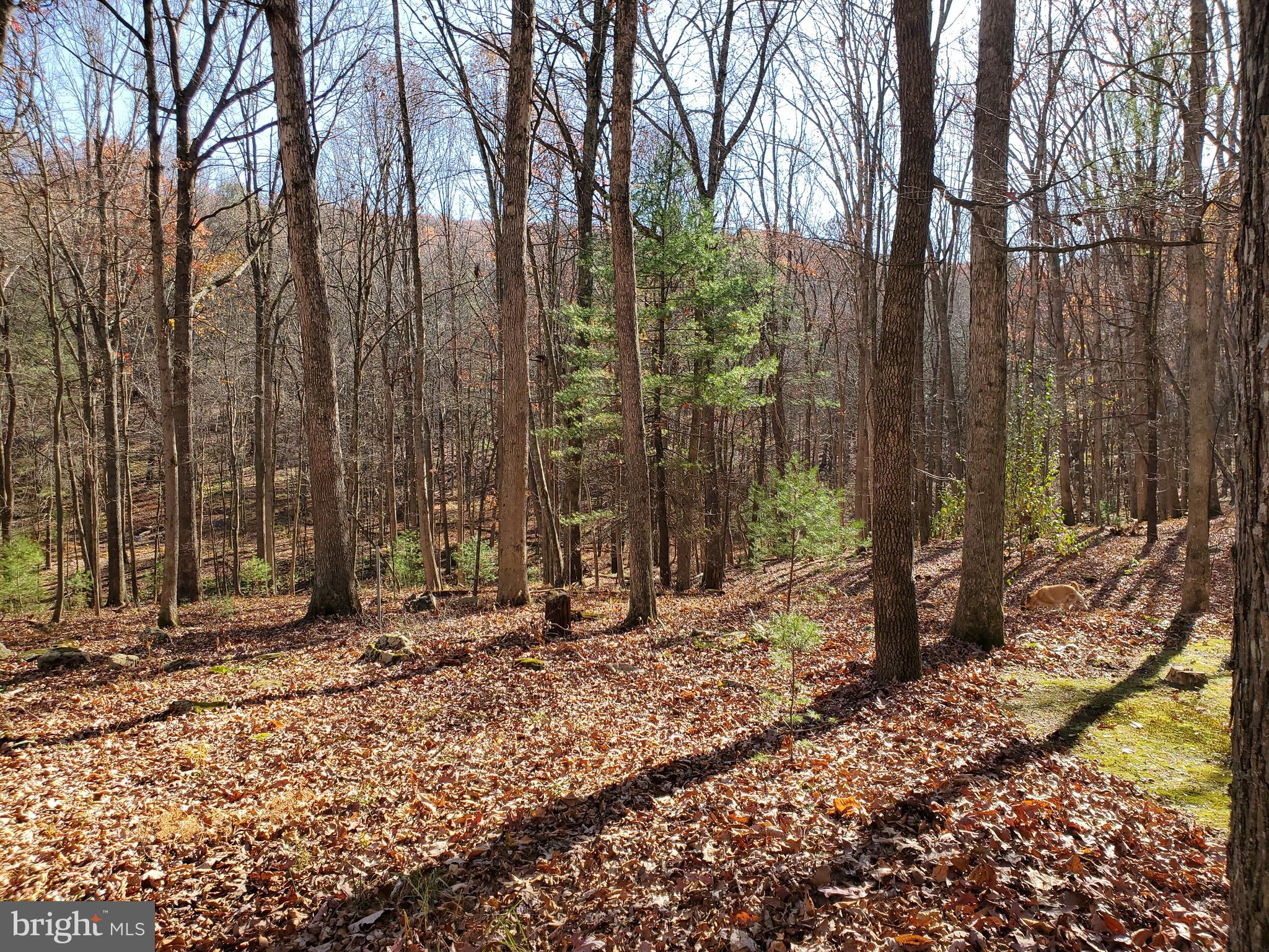 TROUT POND - Residential