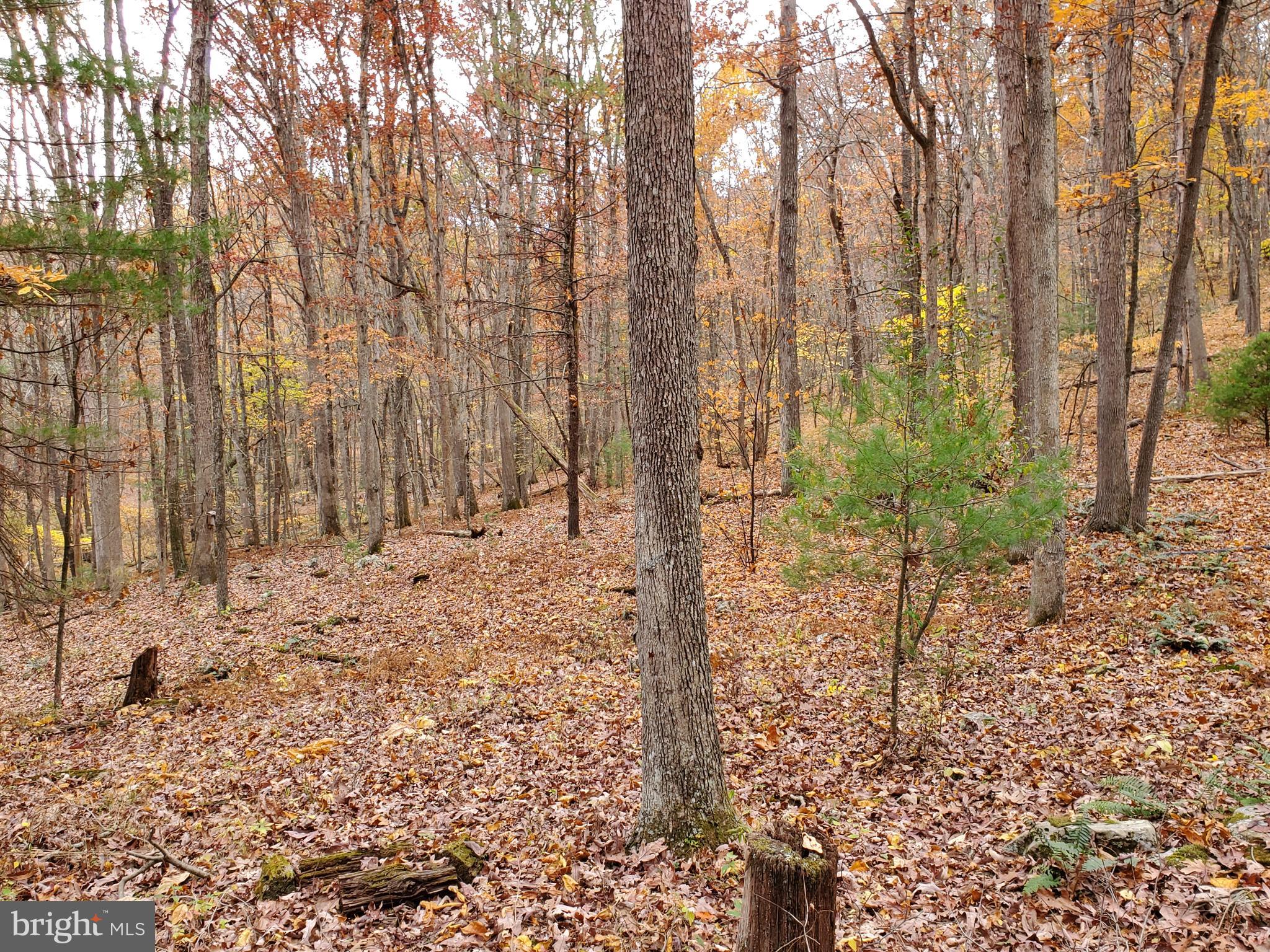TROUT POND - Residential
