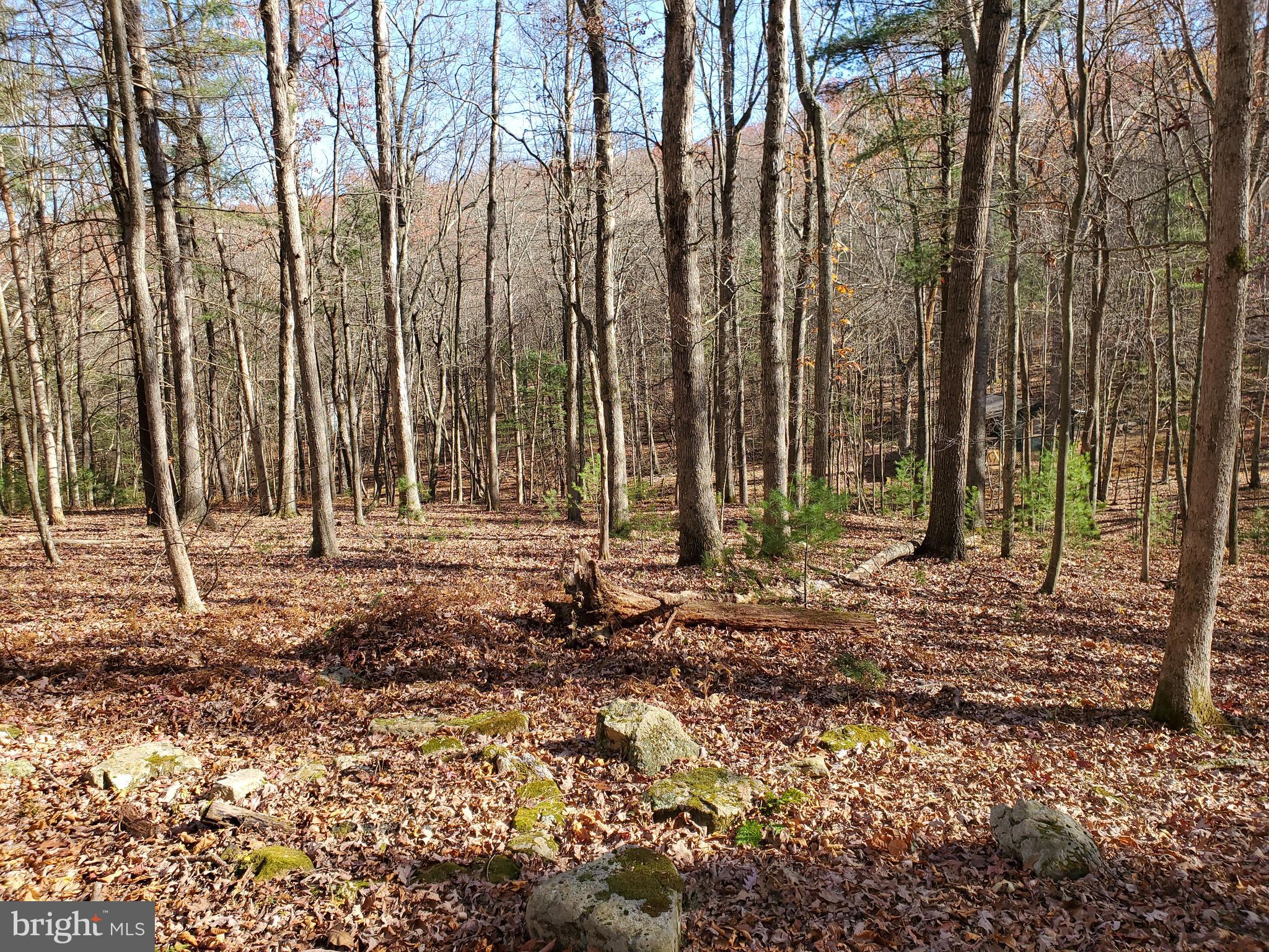 TROUT POND - Residential