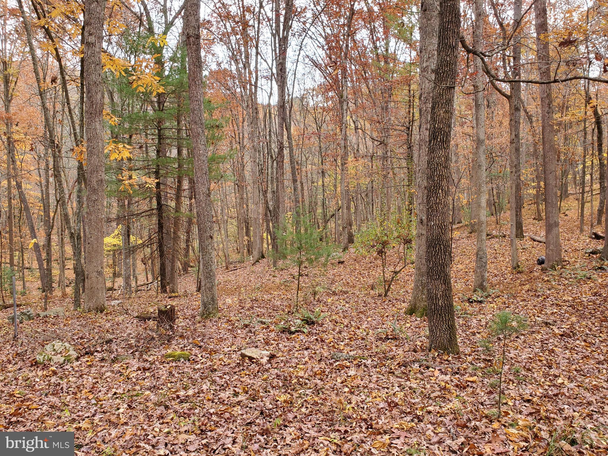 TROUT POND - Residential