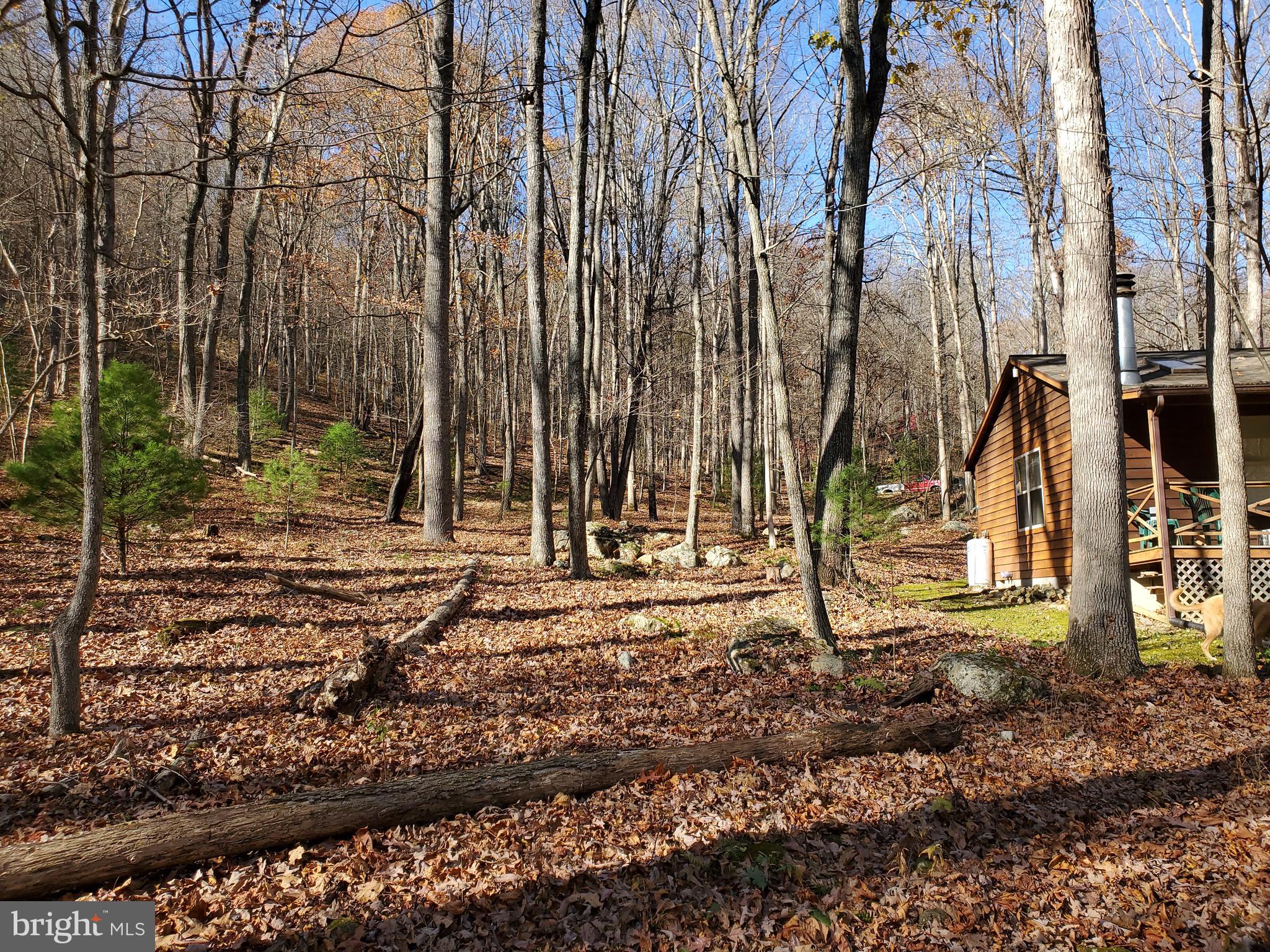 TROUT POND - Residential