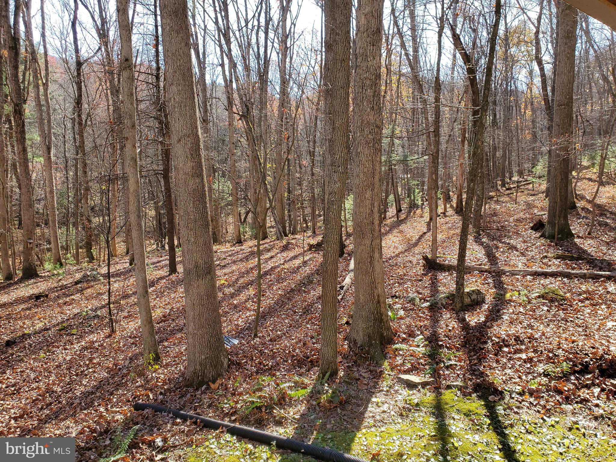 TROUT POND - Residential
