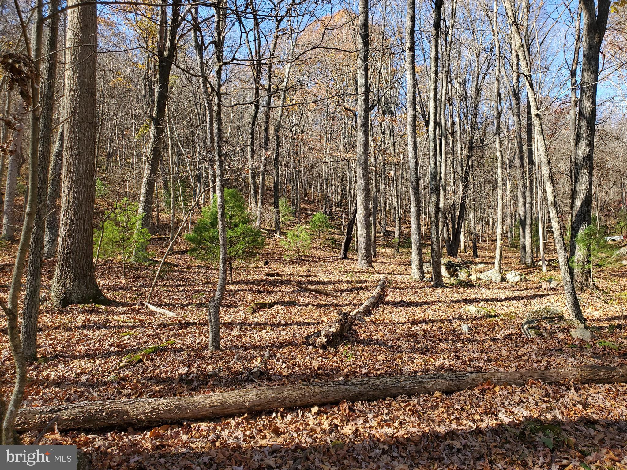 TROUT POND - Residential